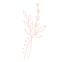 Simple line drawing of a flowering plant with leaves and small buds.