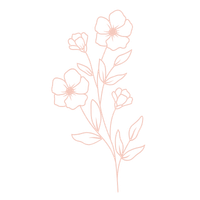 Sketch of a small flowering plant with leaves and five flowers