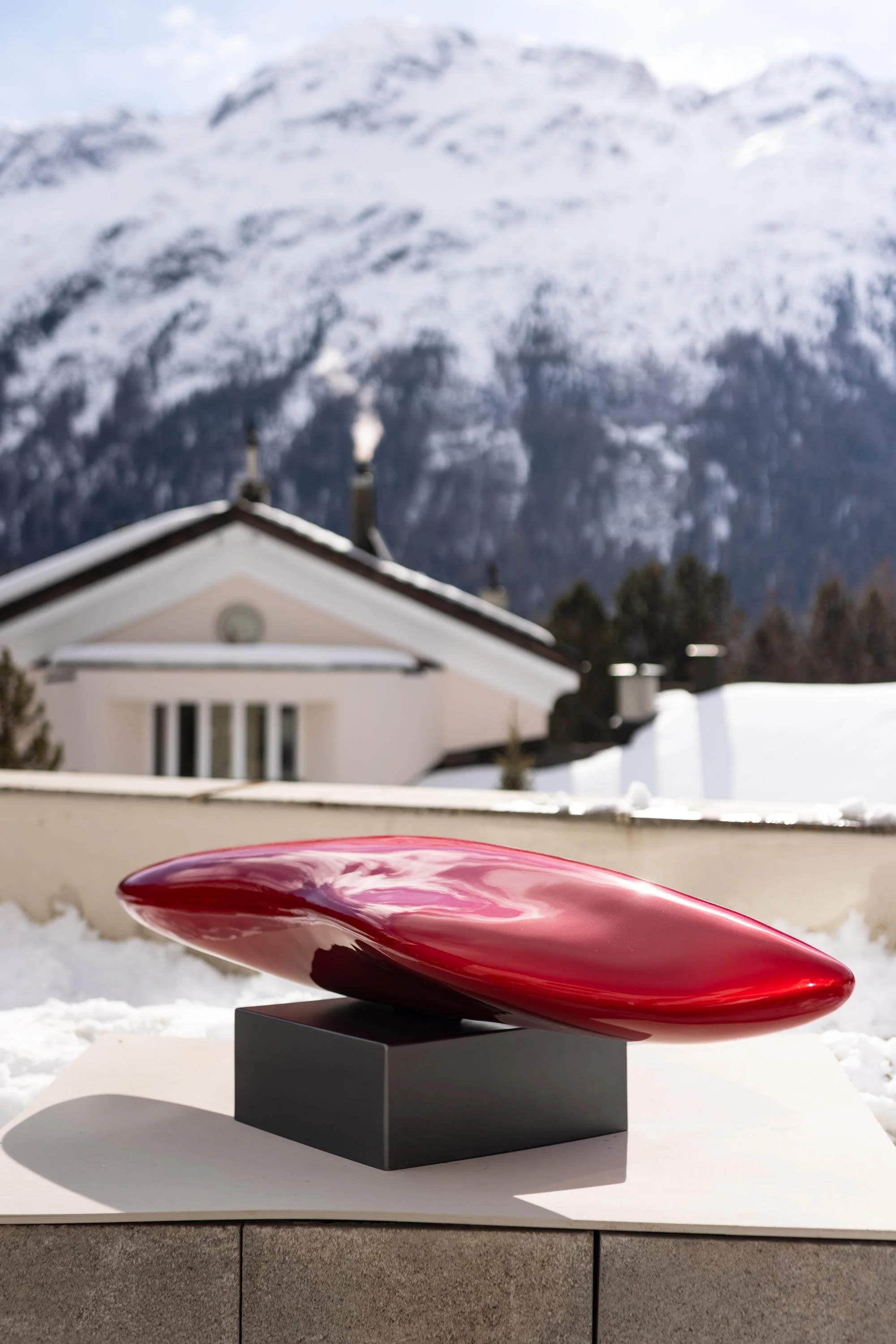 WhatsApp Image 2026-02-26 at 10.16.57.jpeg