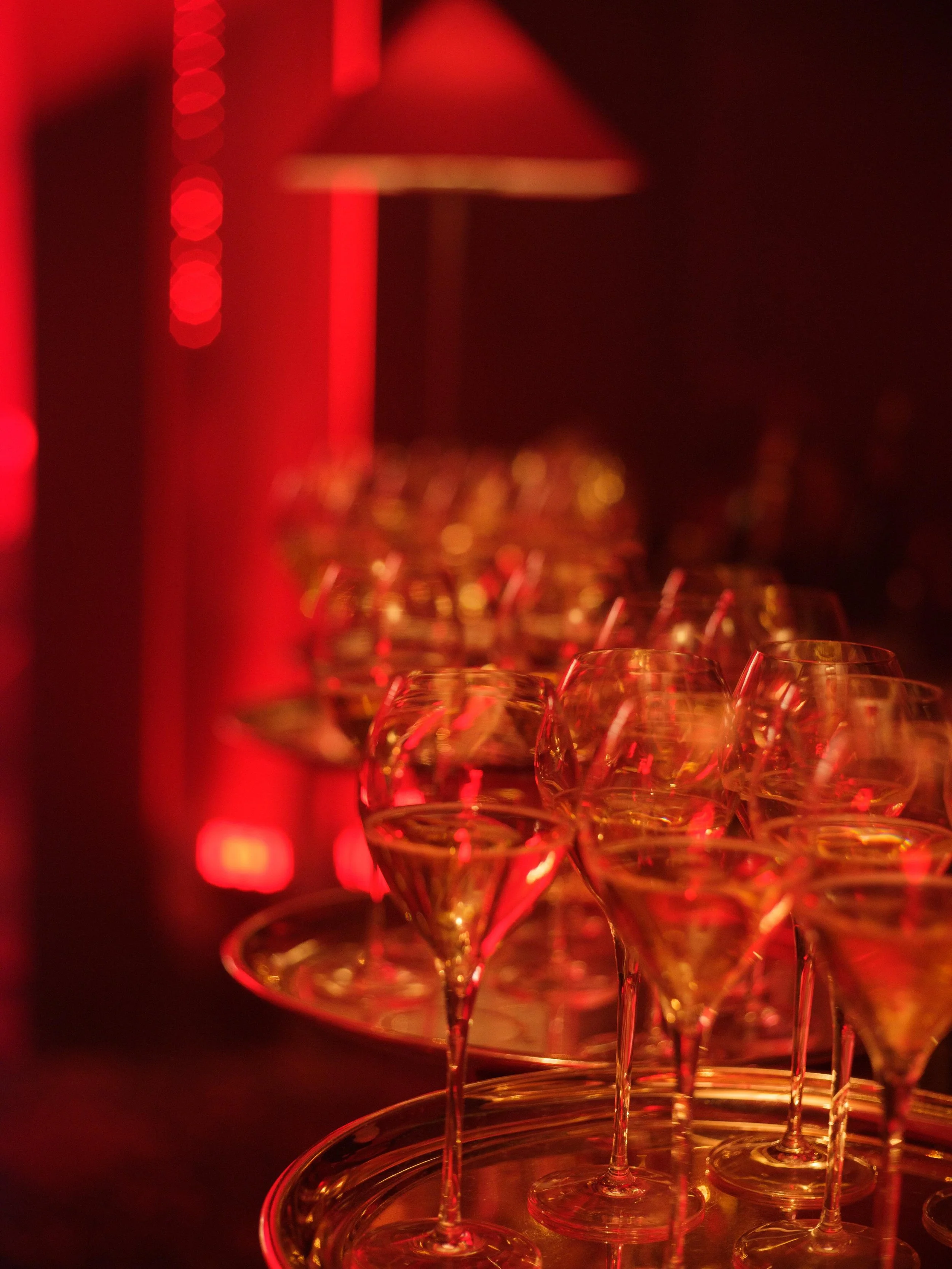 WhatsApp Image 2026-02-26 at 10.17.45.jpeg