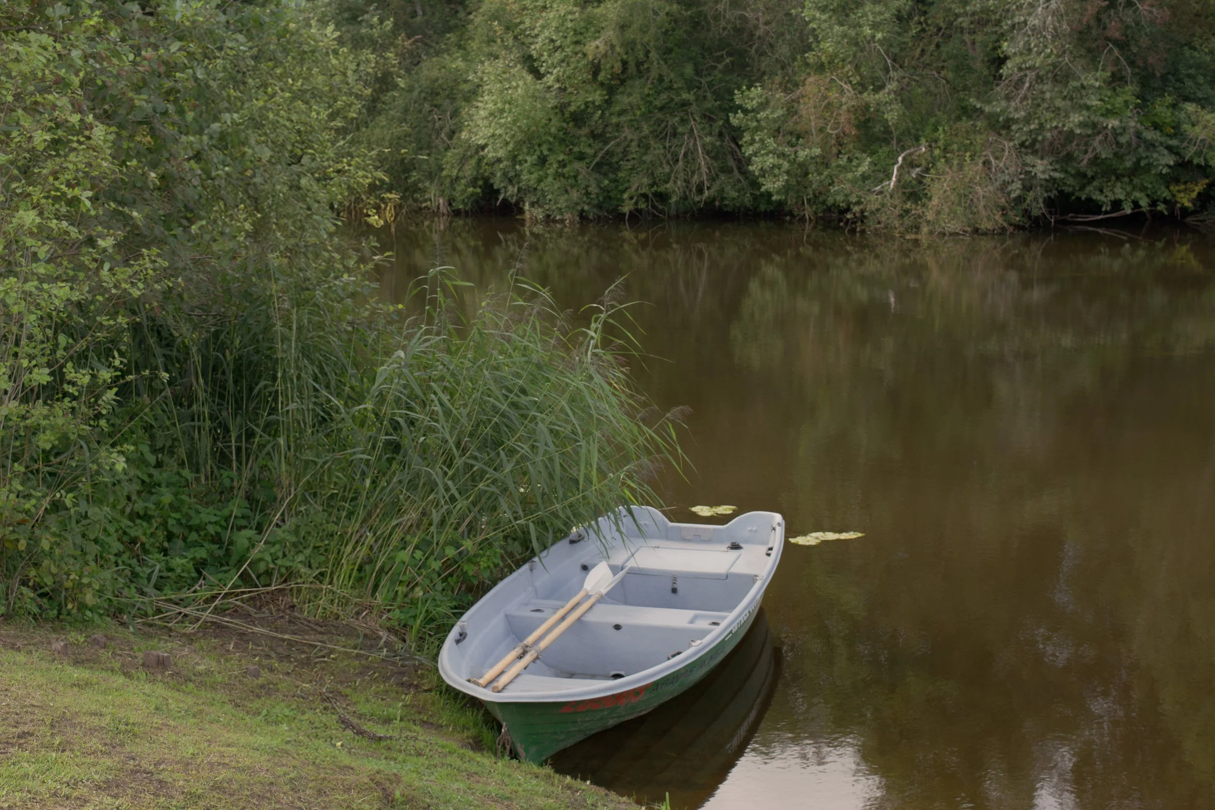 DSC_1162a - kopijad.jpg