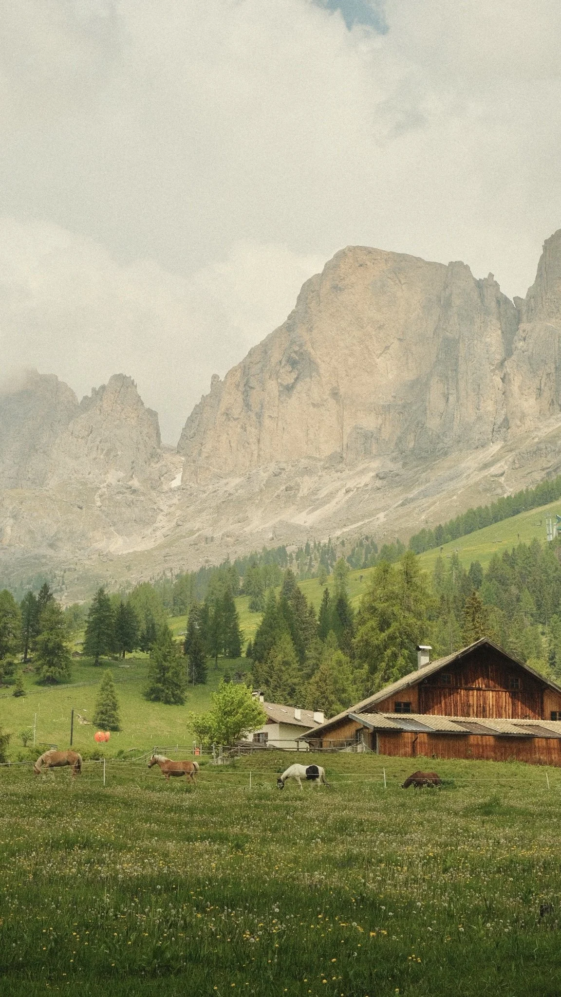 Dolomites Edition