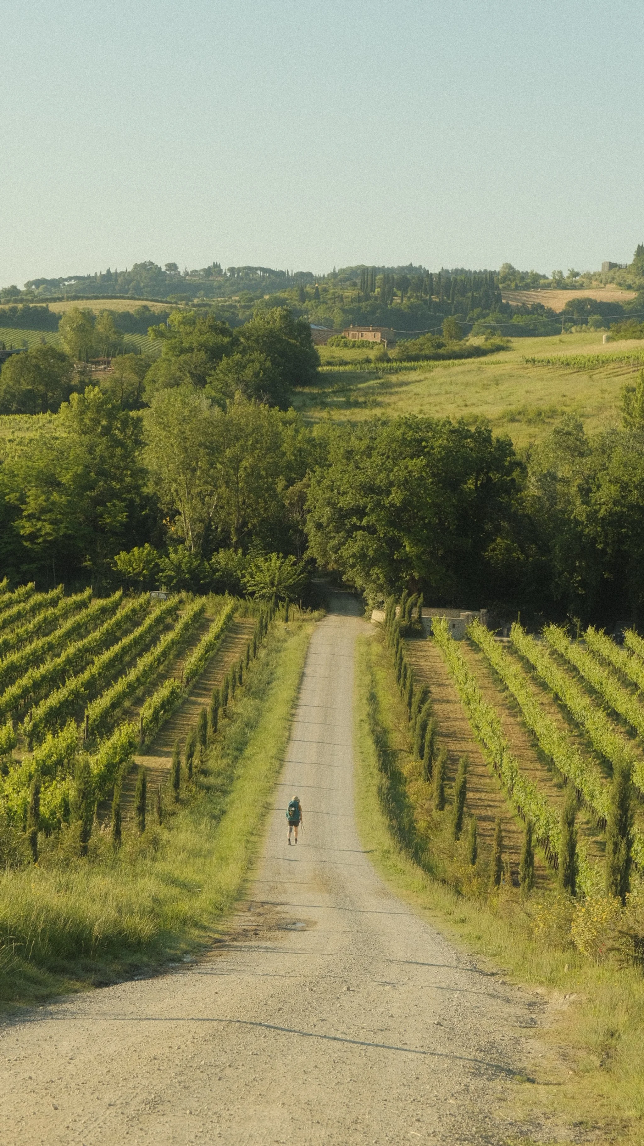 Tuscany, on the Via Francigena