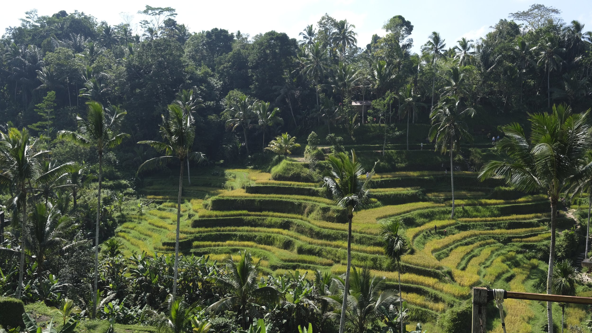 Ubud, Bali