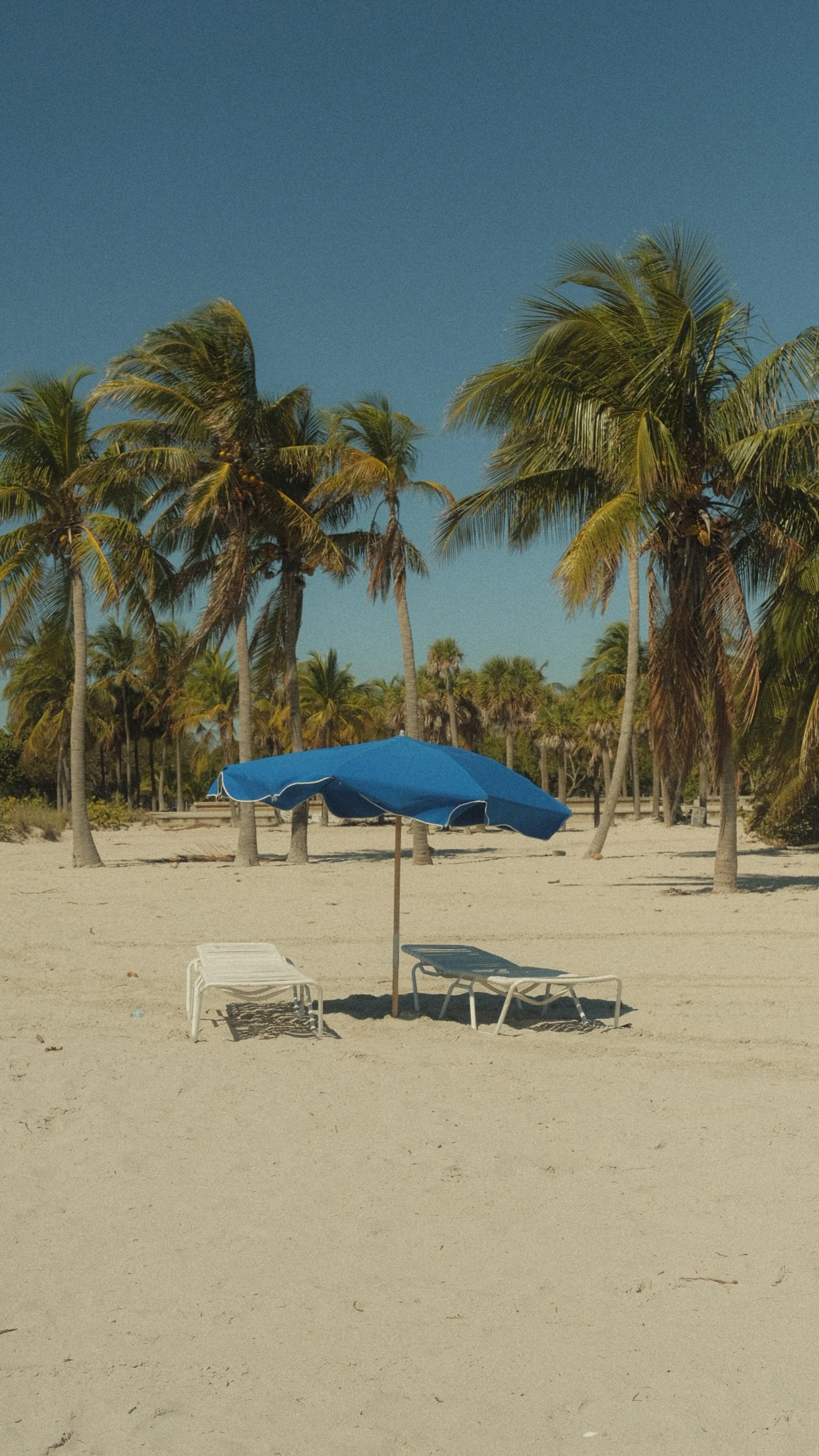 Miami, the United States