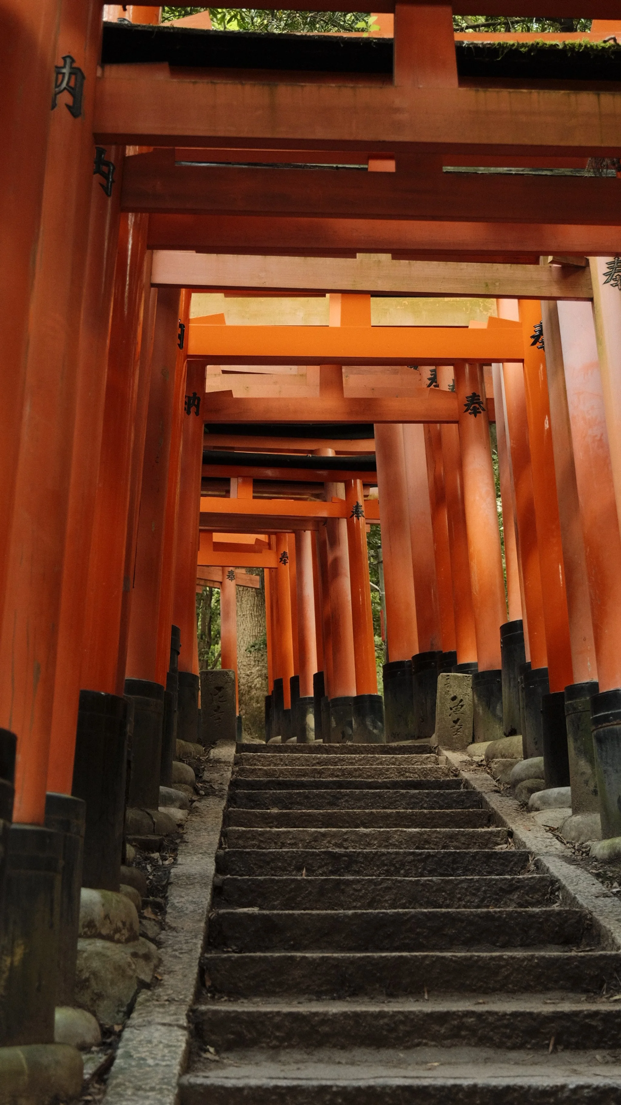 Fushimi Inari, Kyoto