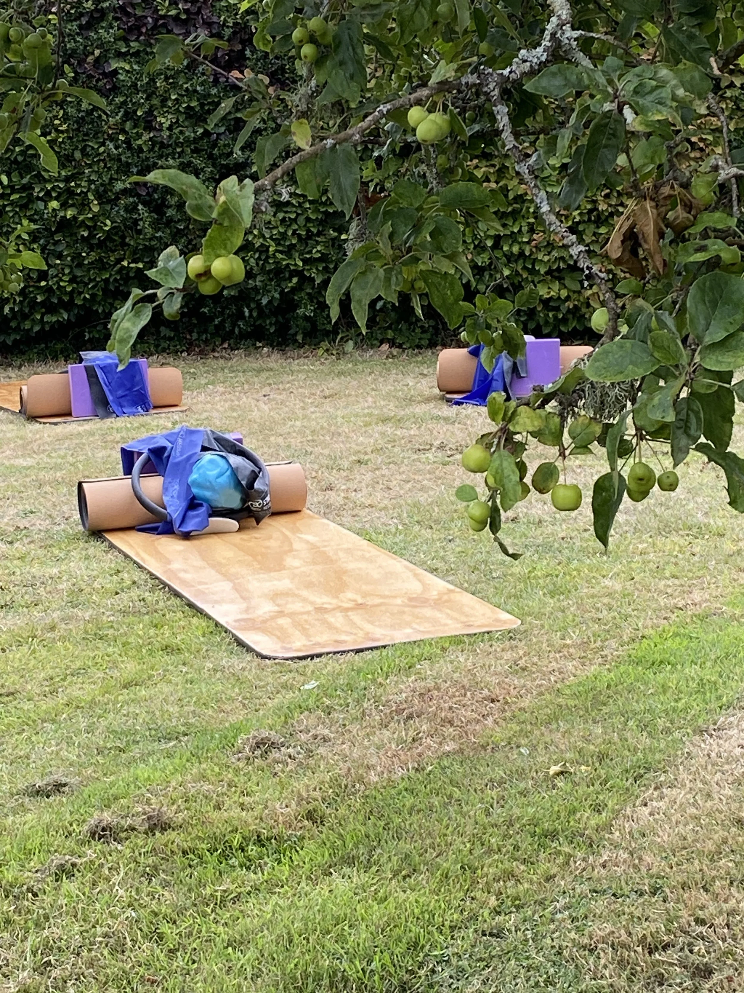 chequers yoga mats .jpg