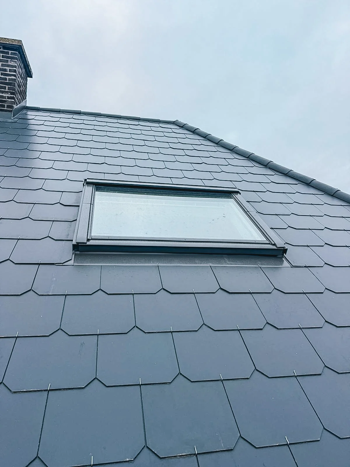 veluxramen & koepels