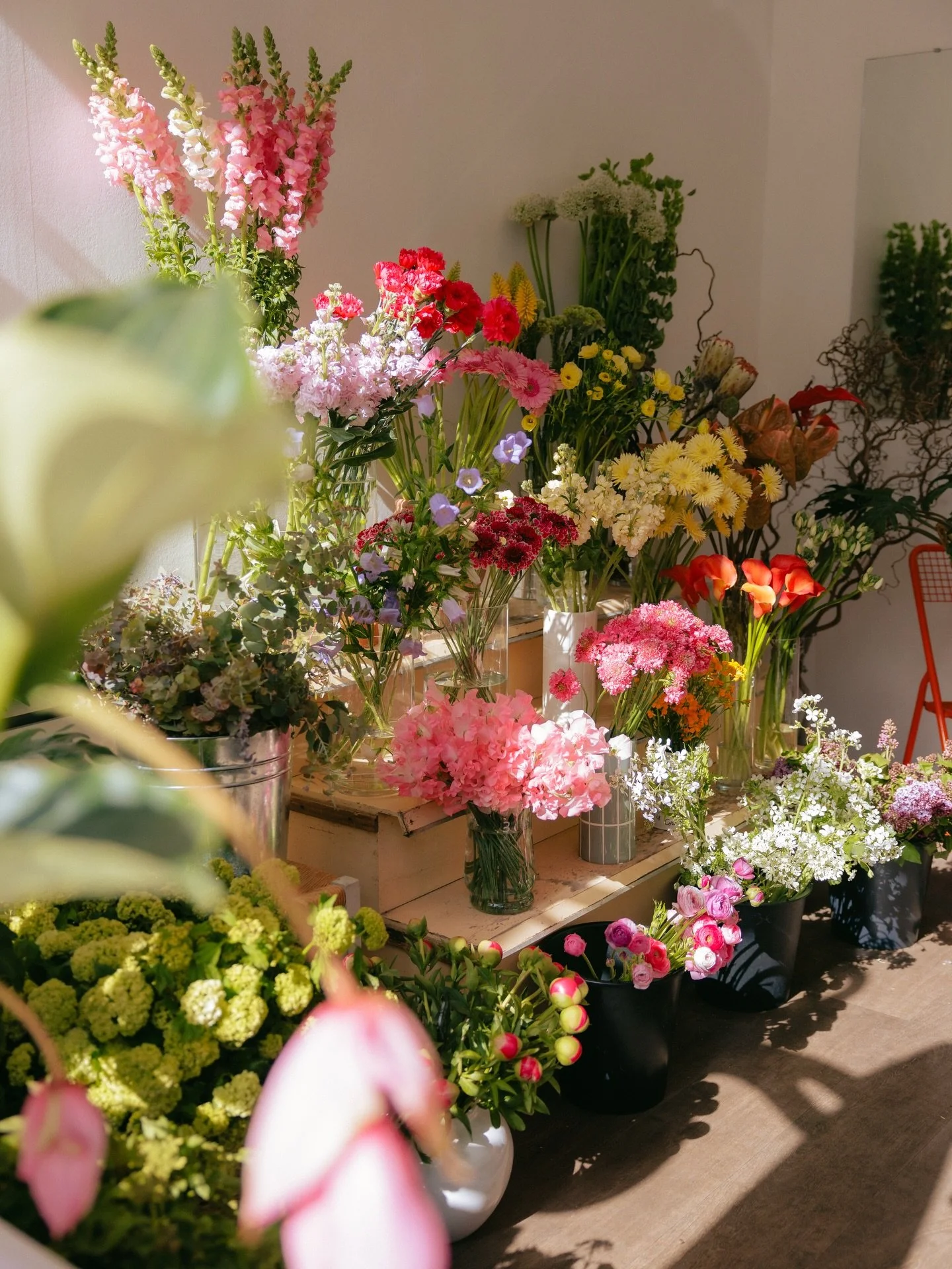 Ouverture le 1er mai aux horaires habituels 🥦
Muguet et fleurs locales ✨
Photos @perrinebarba 🌞