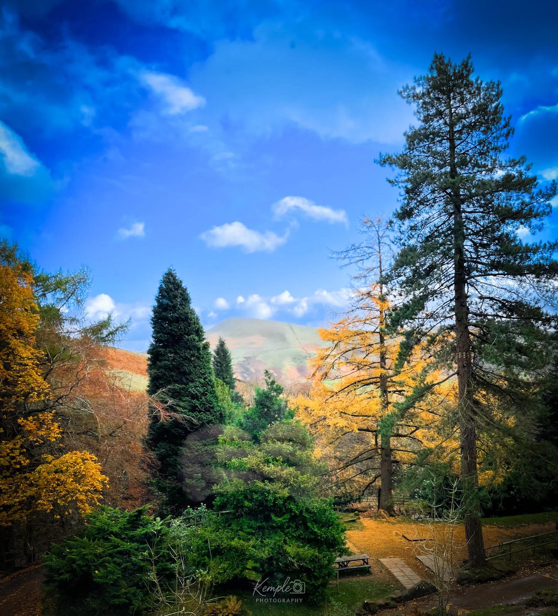 Tarsington  Bench-2.jpg