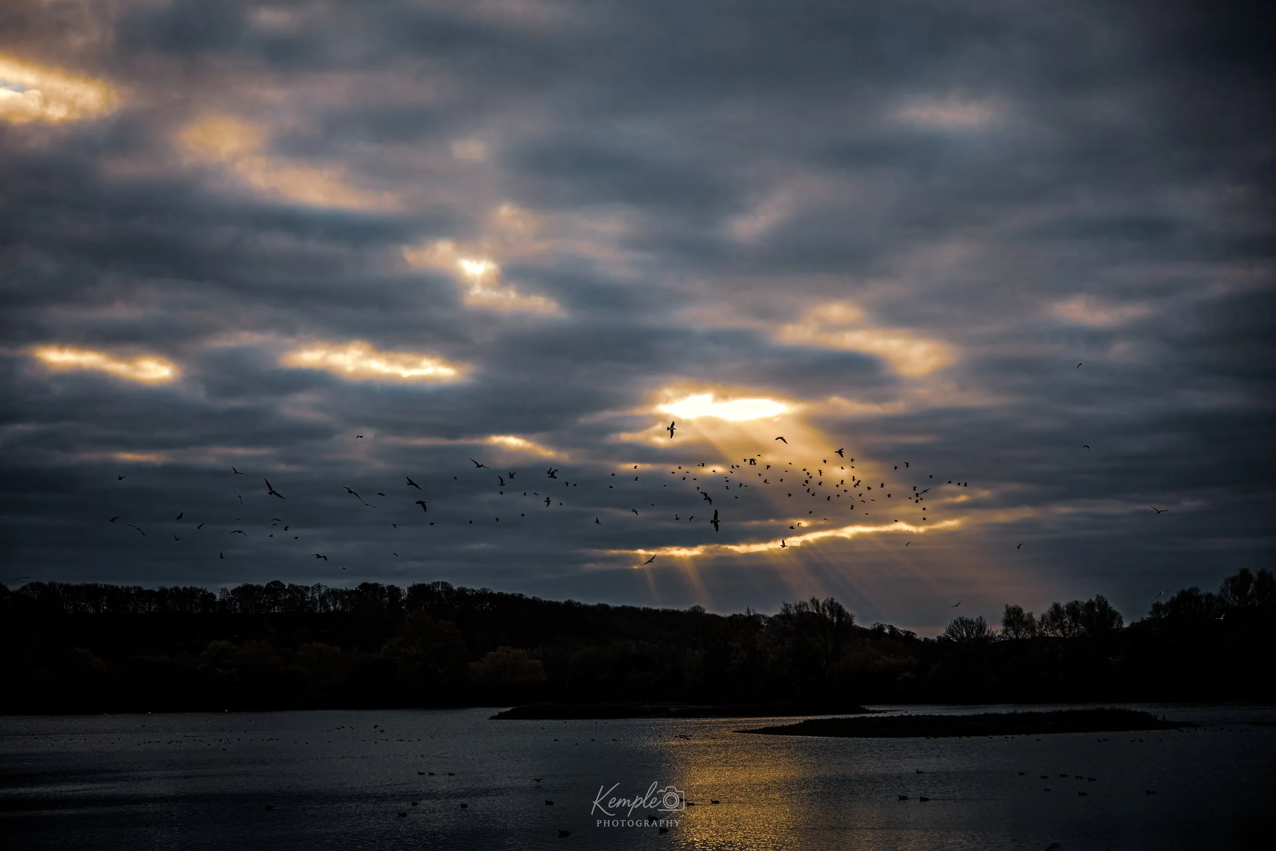 54927332151_cb41c36b68_o 1.jpg