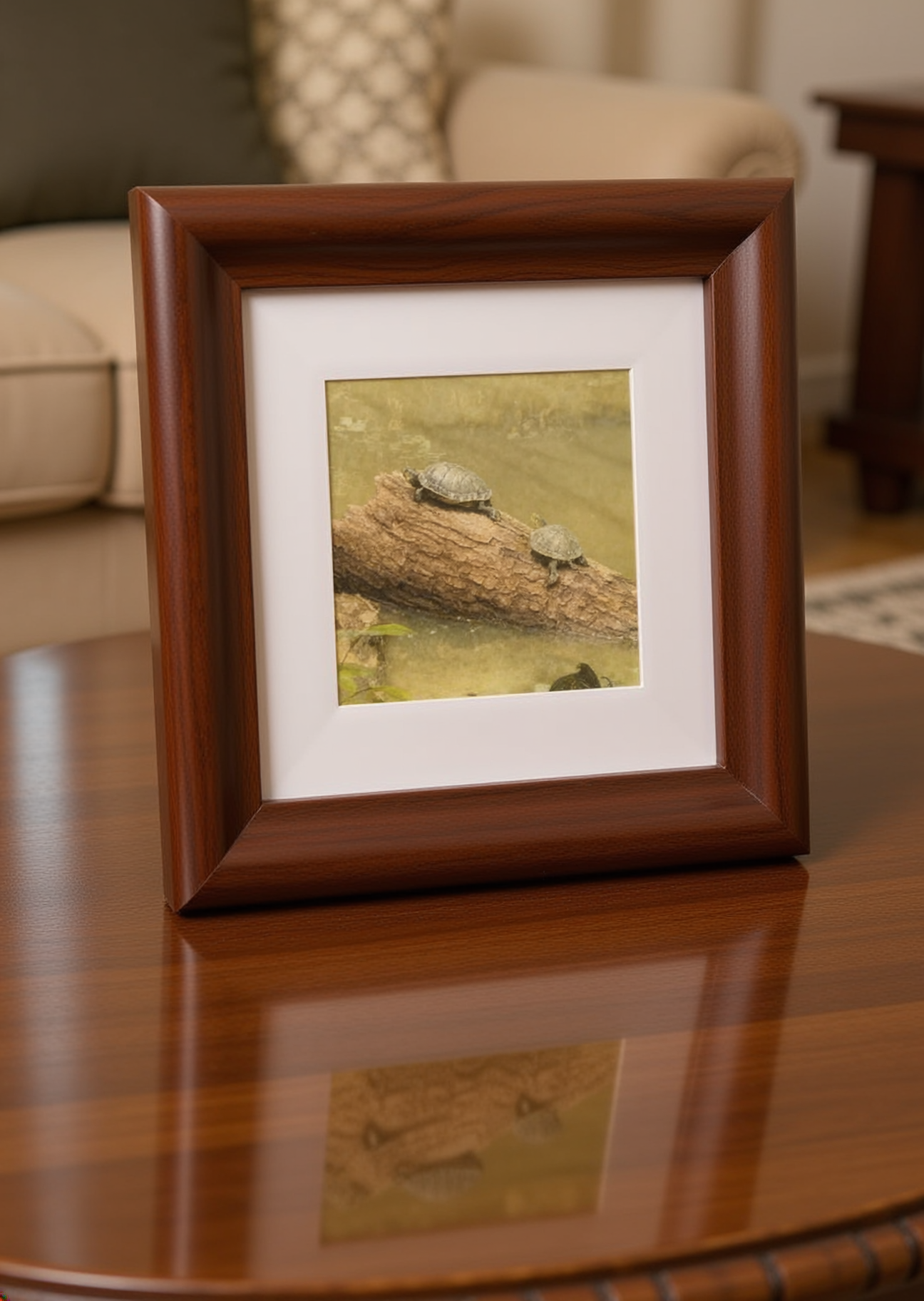 Turtles_on_a_Log_mockup.png