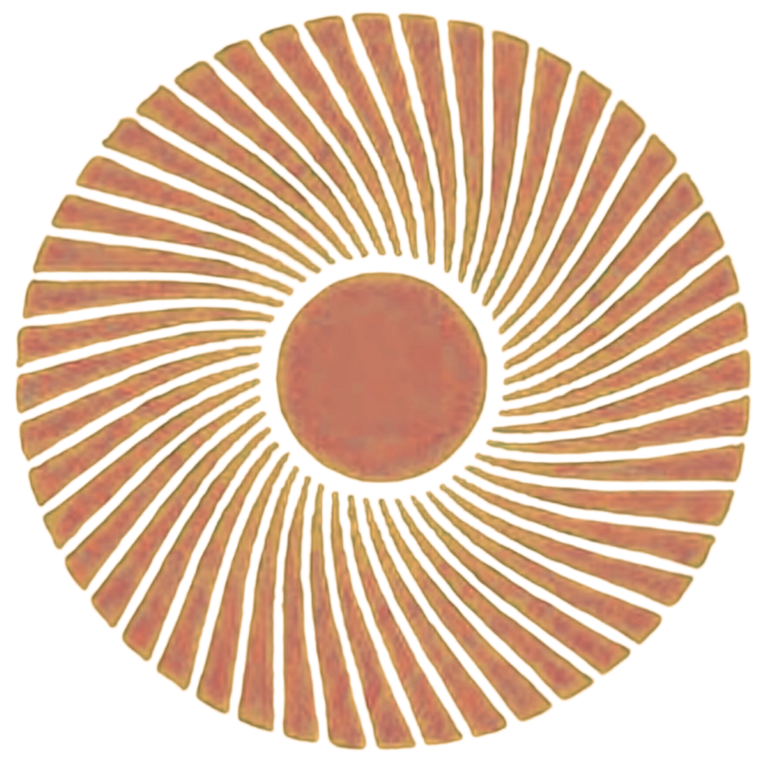 into the soil of your soul