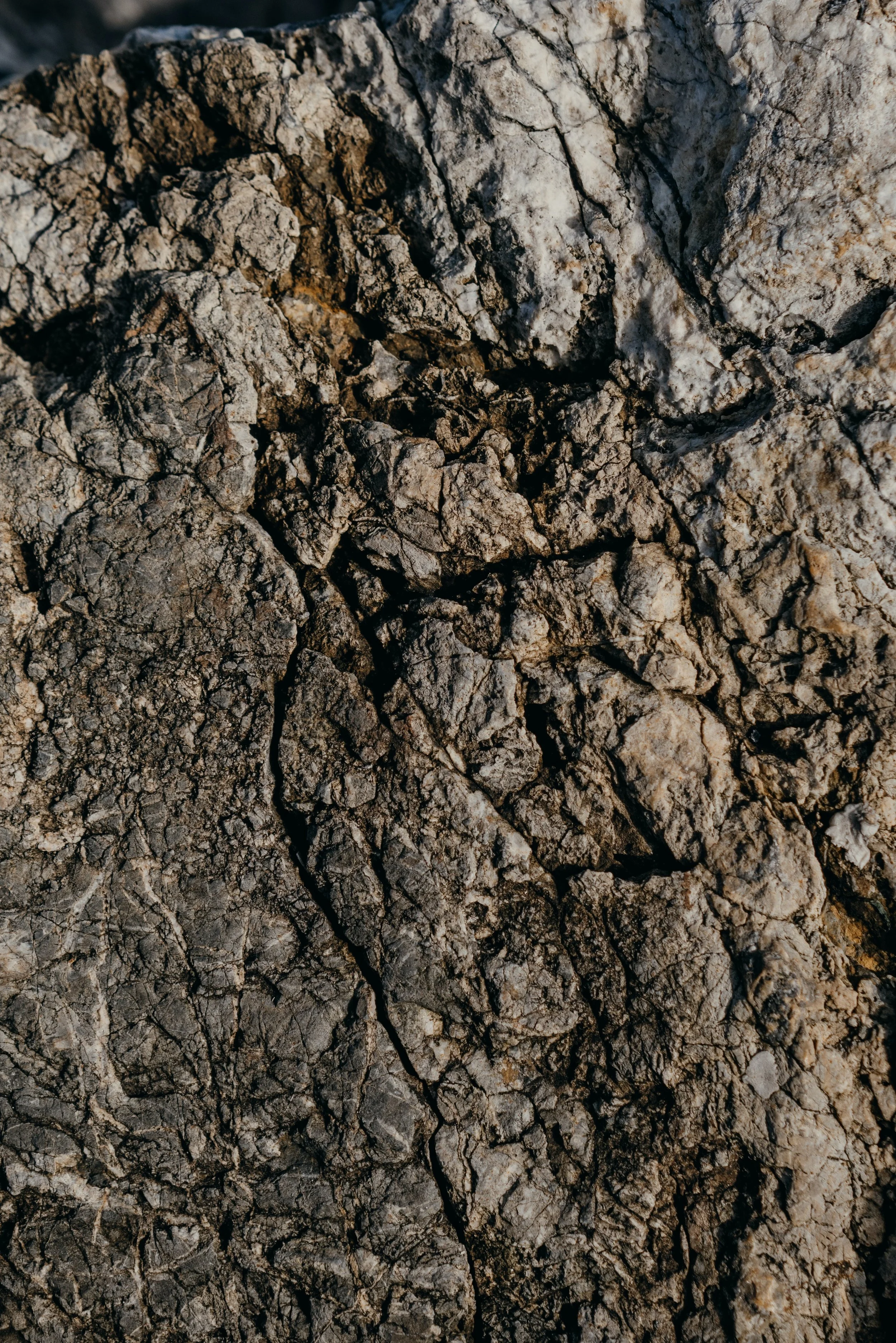 Close-up of cracked, rough, and textured dry dirt or clay earth.
