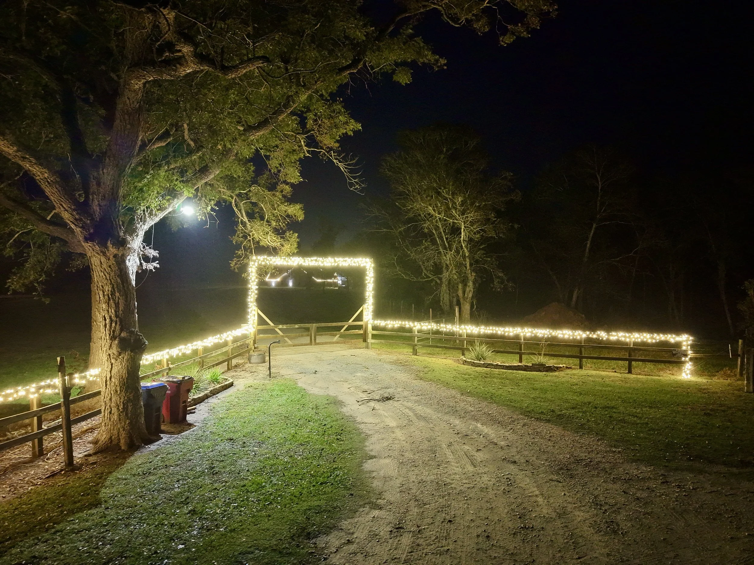 Nighttime scene of a gravel pathway with a wooden fence, tree with lights, and string lights decorating a rectangular frame in the distance.