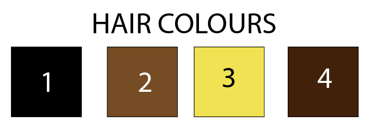 The different hair colour options for customisation, 1 is black, 2 is light brown, 3 is blonde and 4 is dark brown
