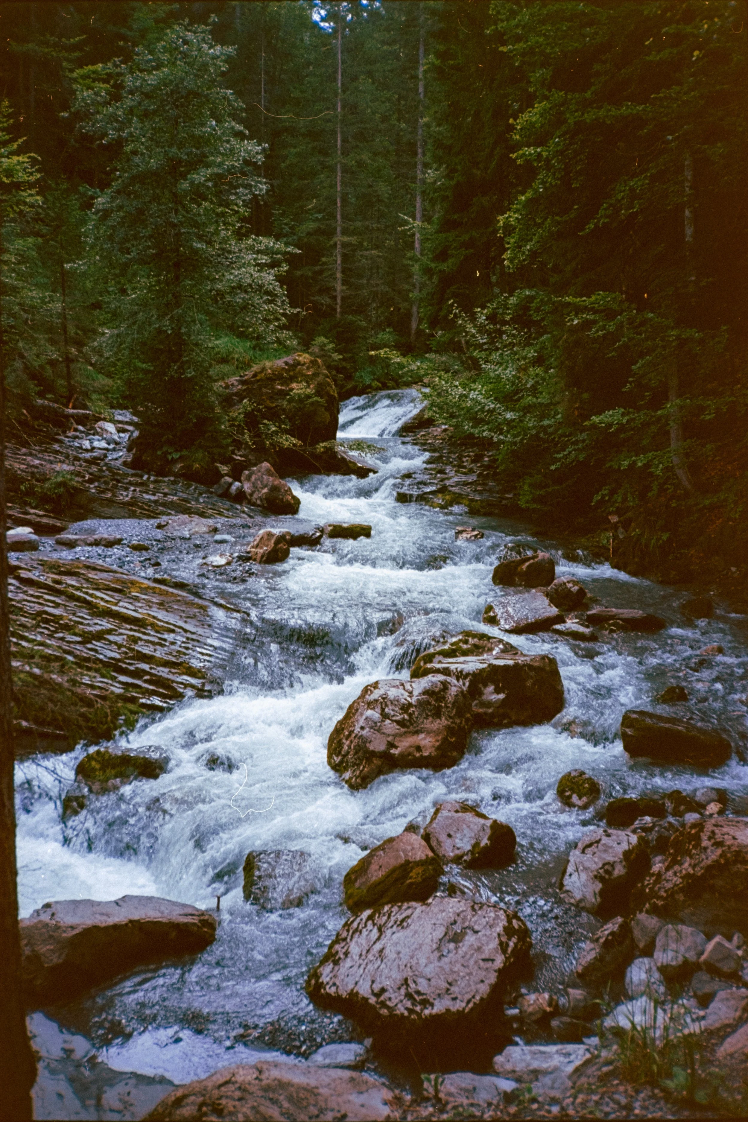 A small waterfall flowing through a wooded forest with rocks and trees surrounding the stream.