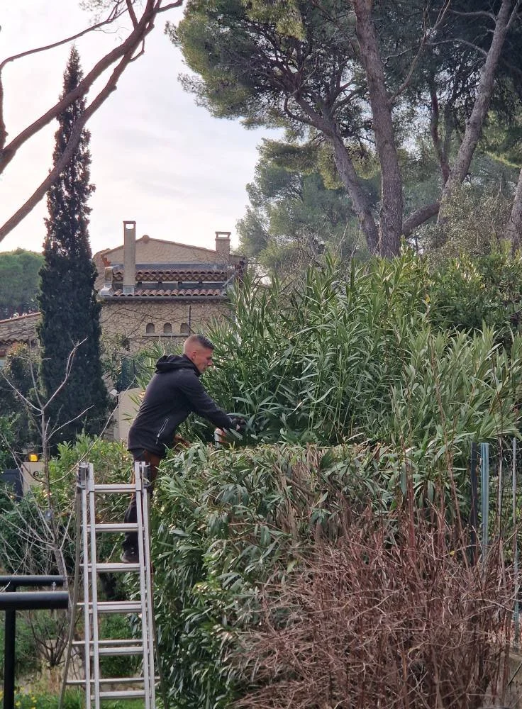 Une personne en sweatshirt noir coupe des arbustes dans un jardin, utilisant une échelle. Arbres, maison en arrière-plan.