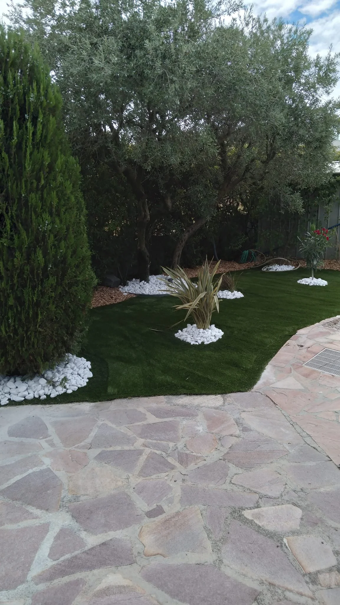Jardin avec arbres, buissons et pelouse verte, décoré avec des pierres blanches et un sol en pierre.