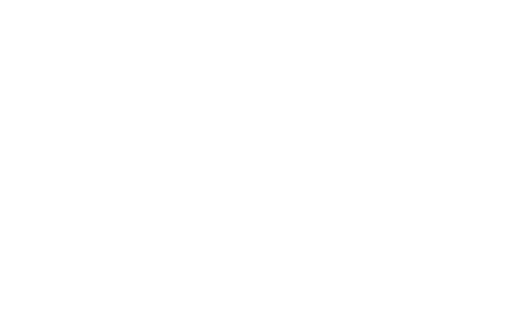 Outline of South Carolina with a palm tree and crescent moon, with the word 'Springers' across it.