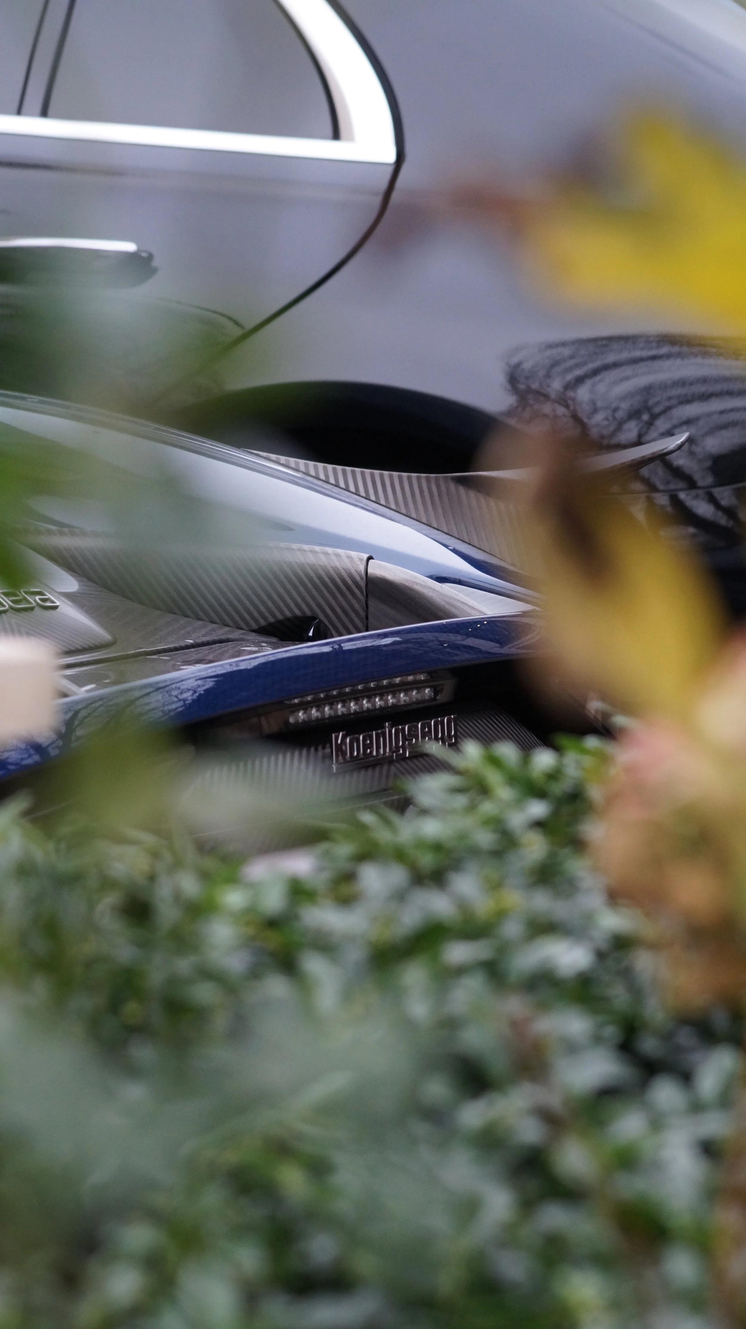 Close-up of a  Koenigsegg Regera, partially obscured by green bushes.