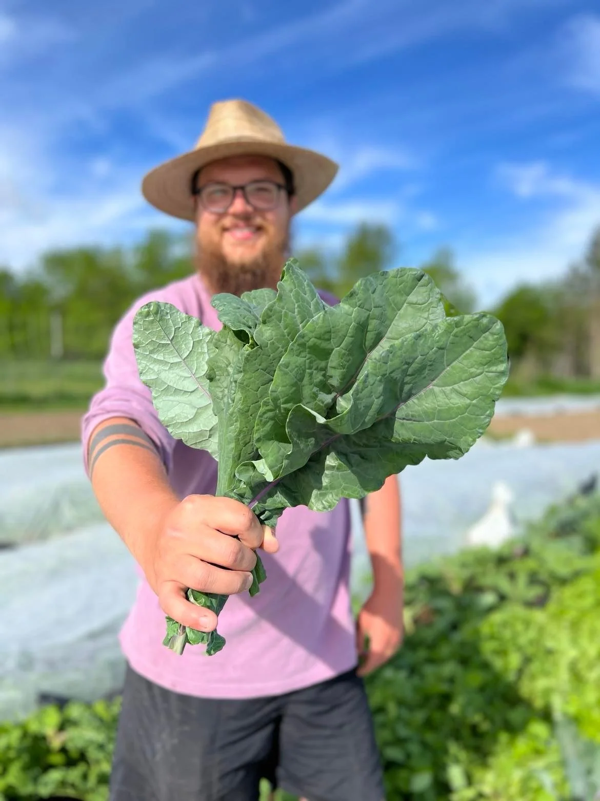 Ethan holding a bunch of leafy greens in a farm field with blue sky and green trees in the background.