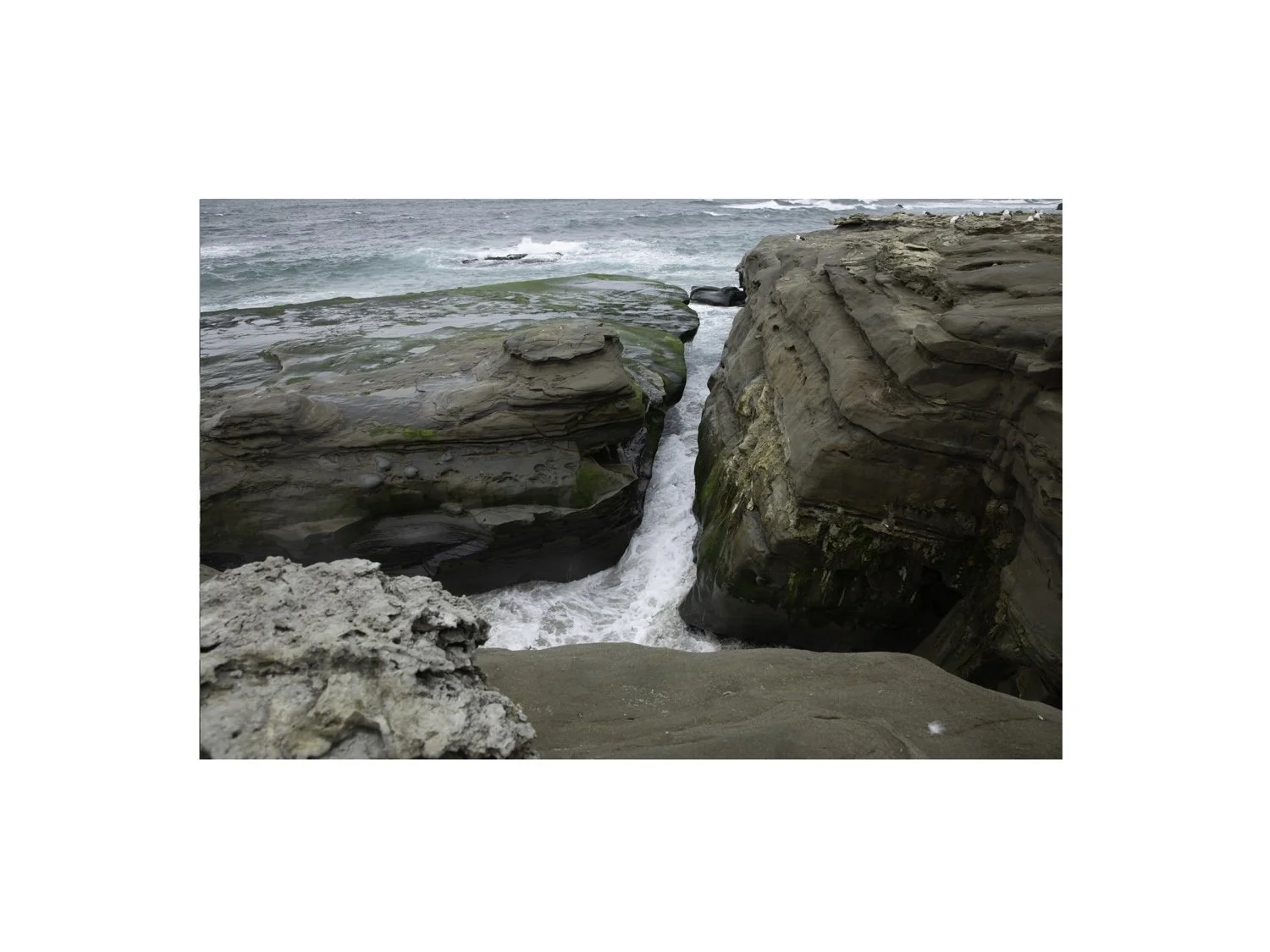 Coastal Rock  • 14x11