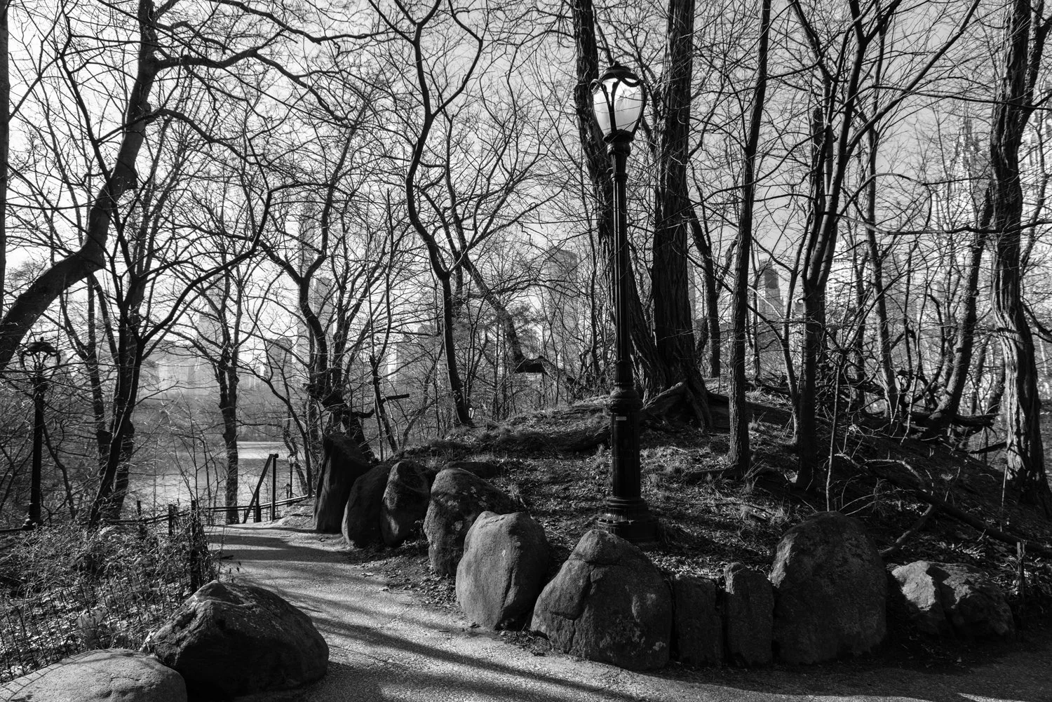 Leave-Leave-the-Light-On_Central-Park_Phoebe-Landrum copy.jpg
