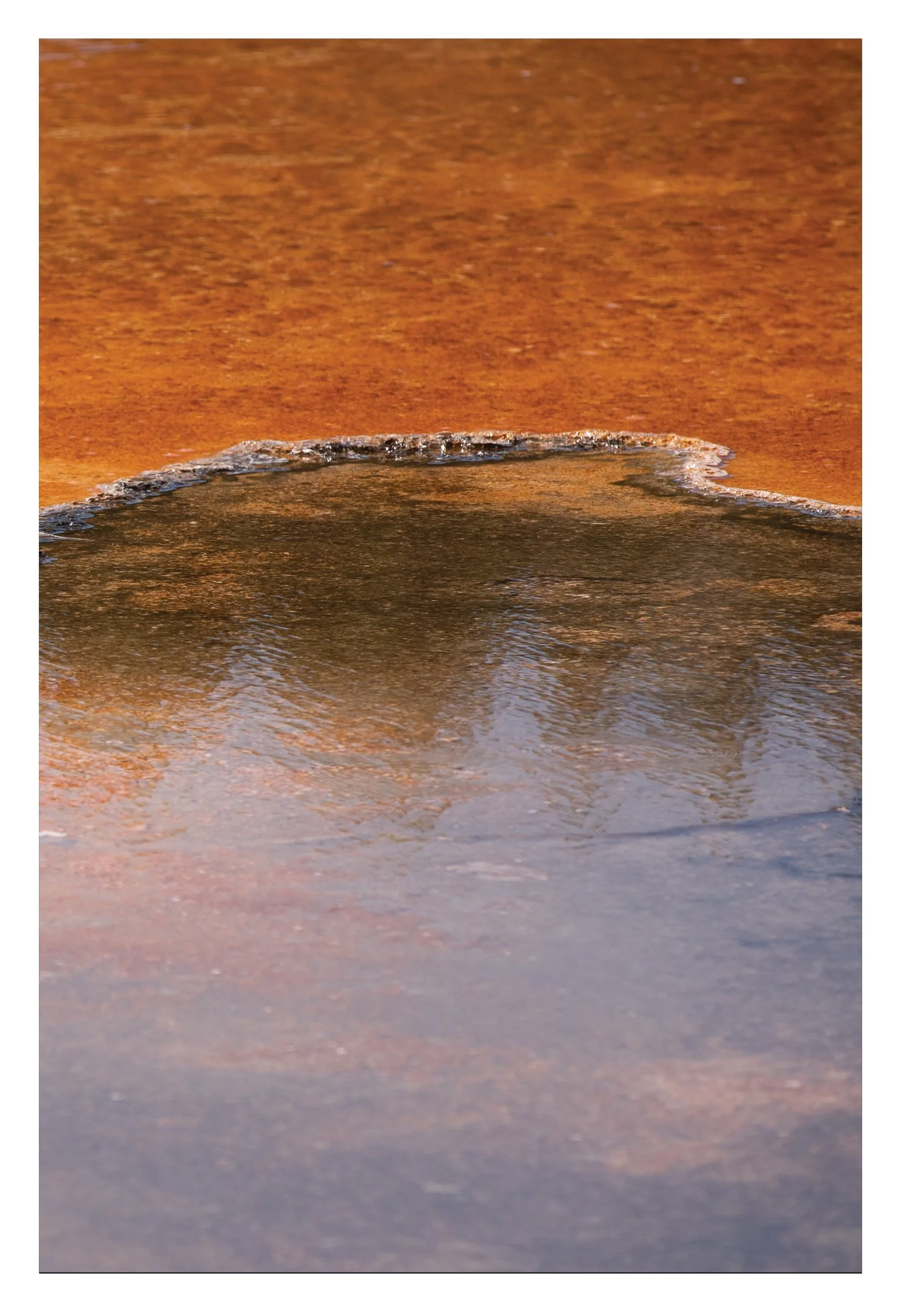 72dpi-Thermophiles-Orange-III-20x30-Triptic-Phoebe-Landrum-Photography.jpg (Copy)