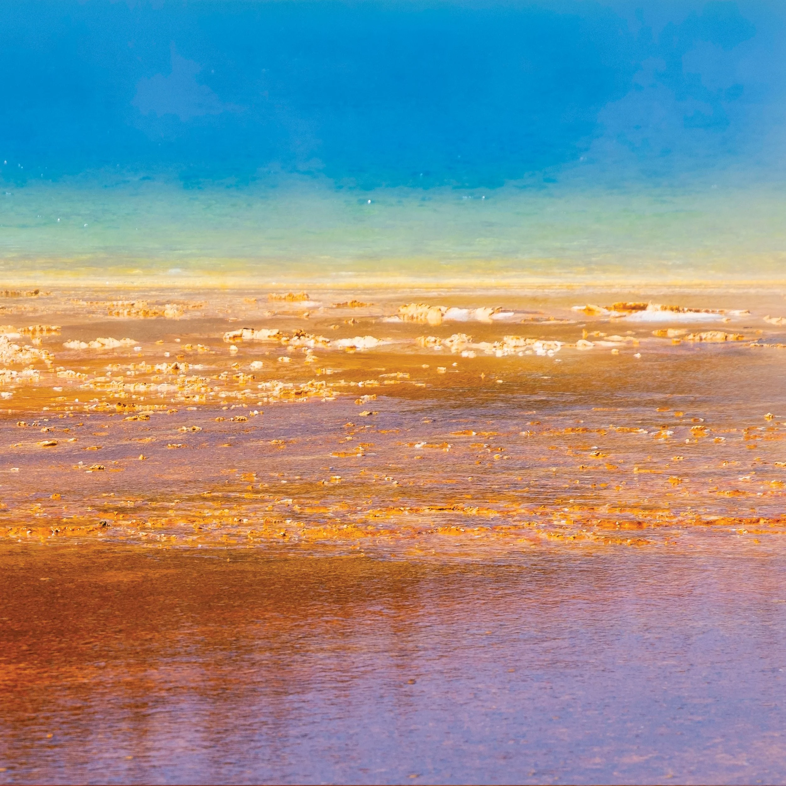 Prismatic-Life-II-Top-R-20x20-40x40total-Phoebe-Landrum-Photography.jpg (Copy) (Copy) (Copy)
