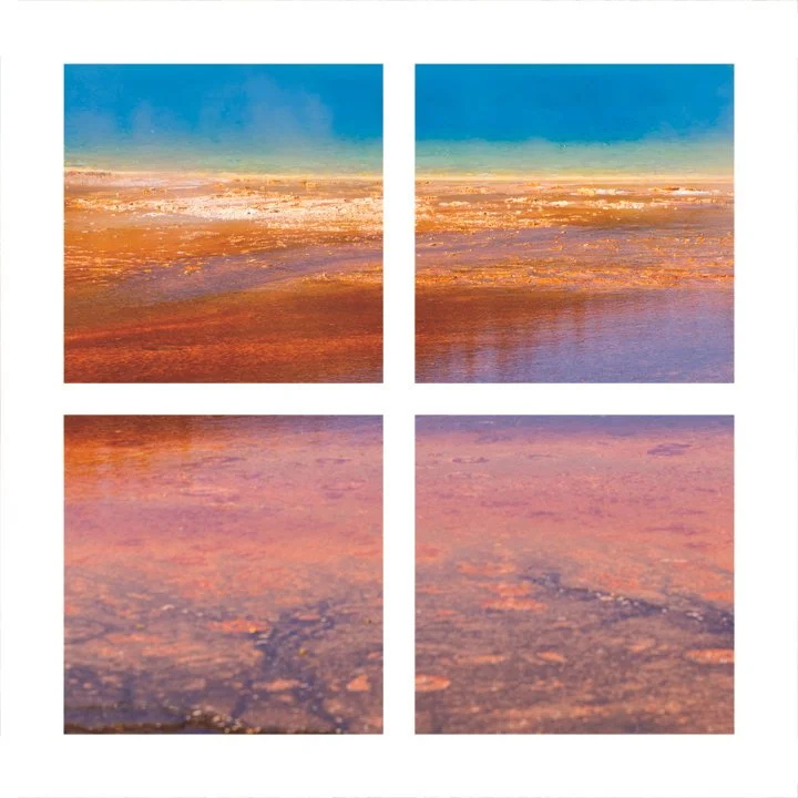 Prismatic Life I, II, III IV 24x24