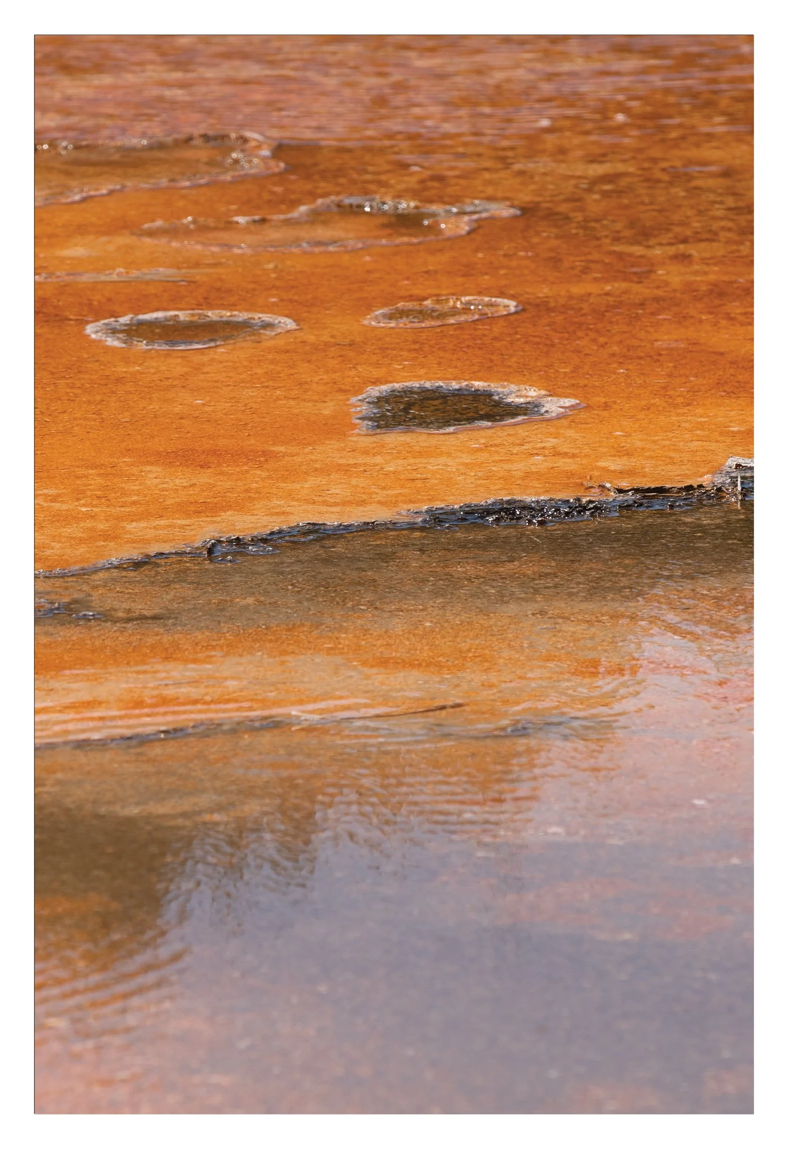 72dpi-Thermophiles-Orange-II-20x30-Triptic-Phoebe-Landrum-Photography.jpg (Copy)