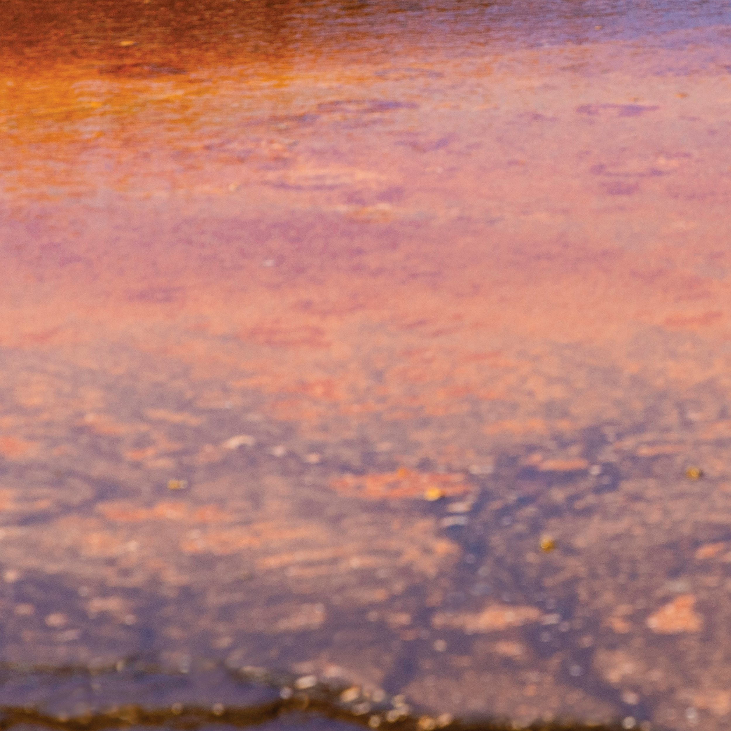 Prismatic-Life-III-20x20-BL-40x40total-Phoebe-Landrum-Photography.jpg (Copy)