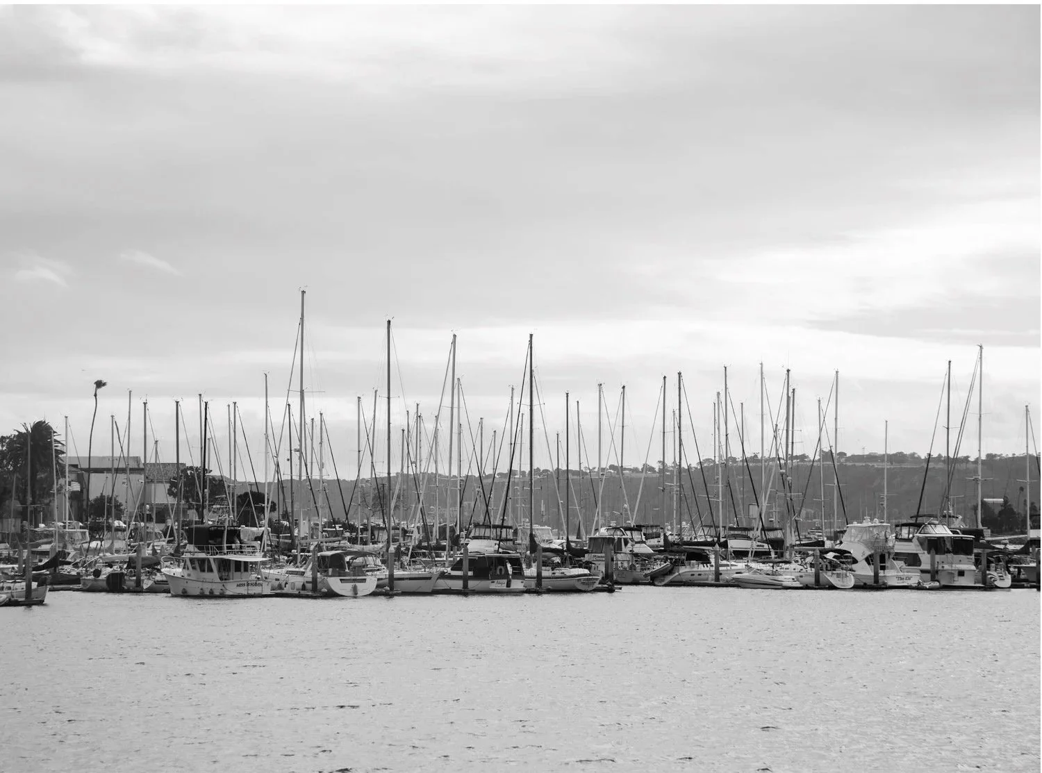 San Diago Sails  • 40x30