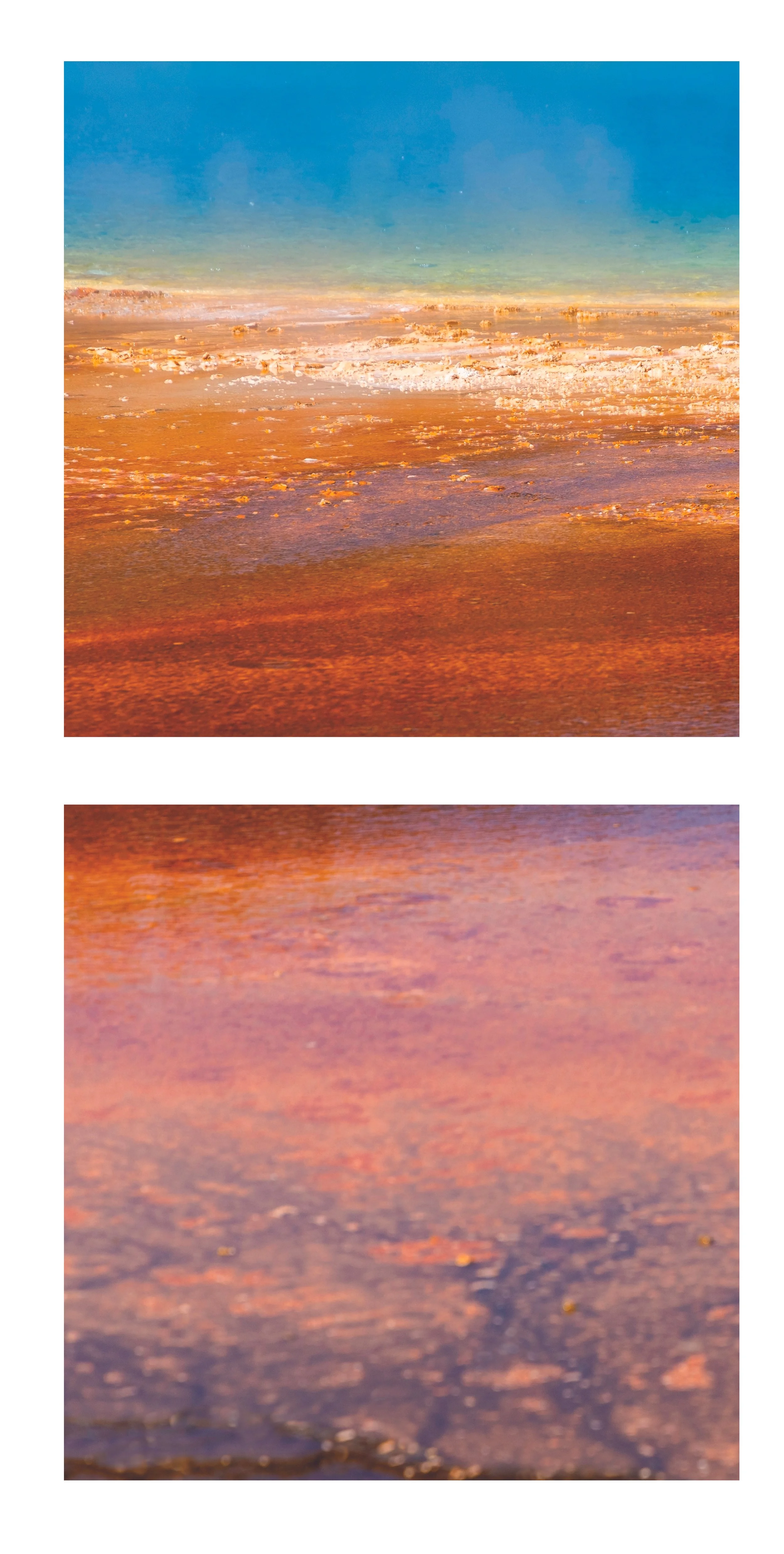 Prismatic-LifeI+III-diptych-vert-Phoebe-Landrum.jpg (Copy) (Copy)