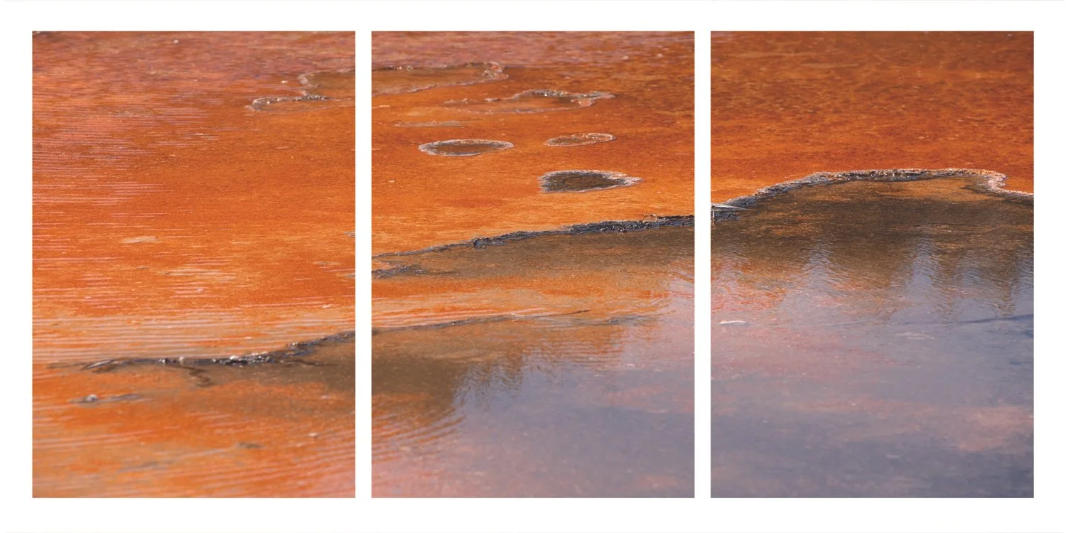 Thermophiles  I• II• III • 48x20