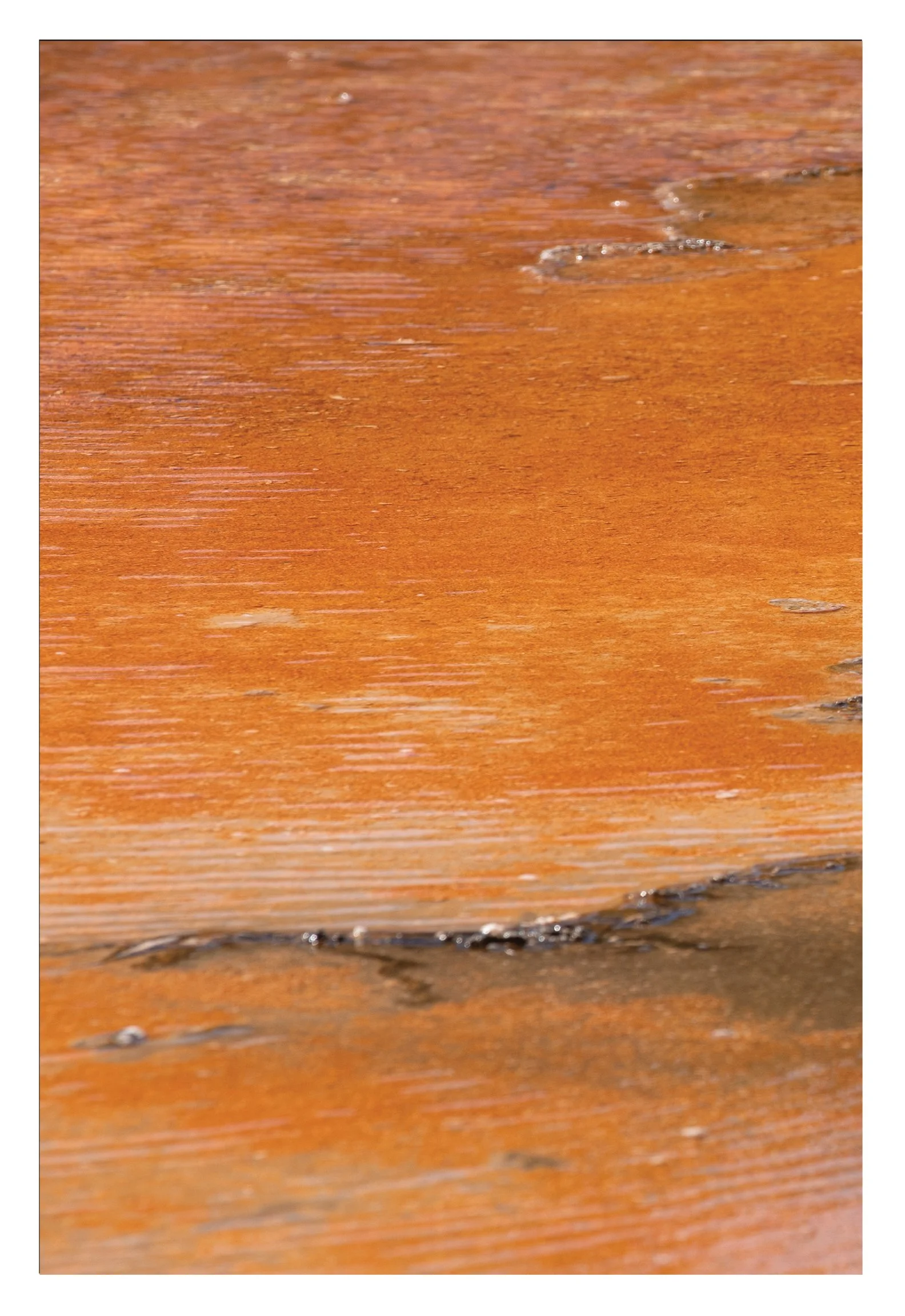 72dpi-Thermophiles-Orange-I-20x30-Triptic-Phoebe-Landrum-Photography.jpg (Copy)