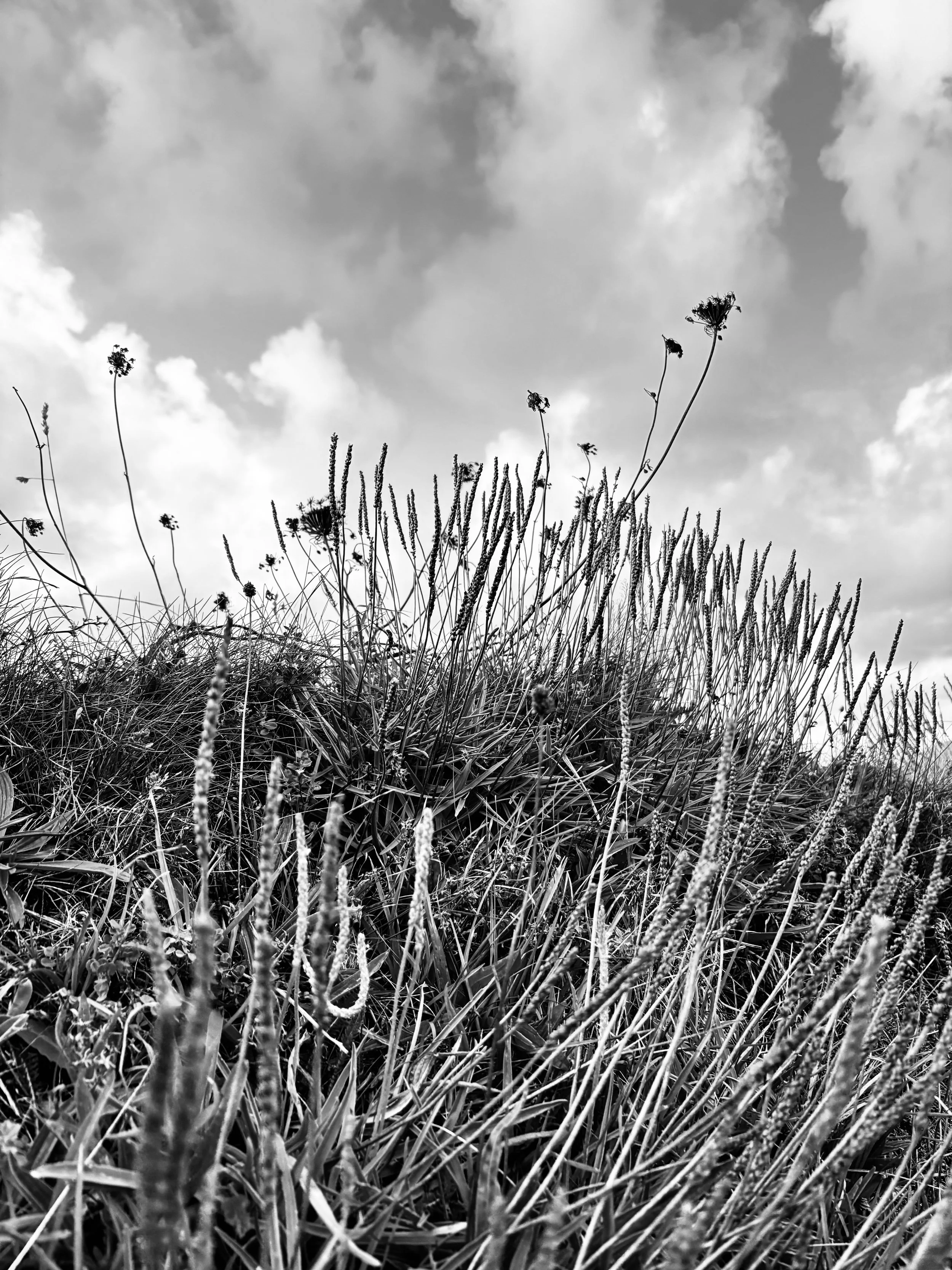 Near Nic Fife's home