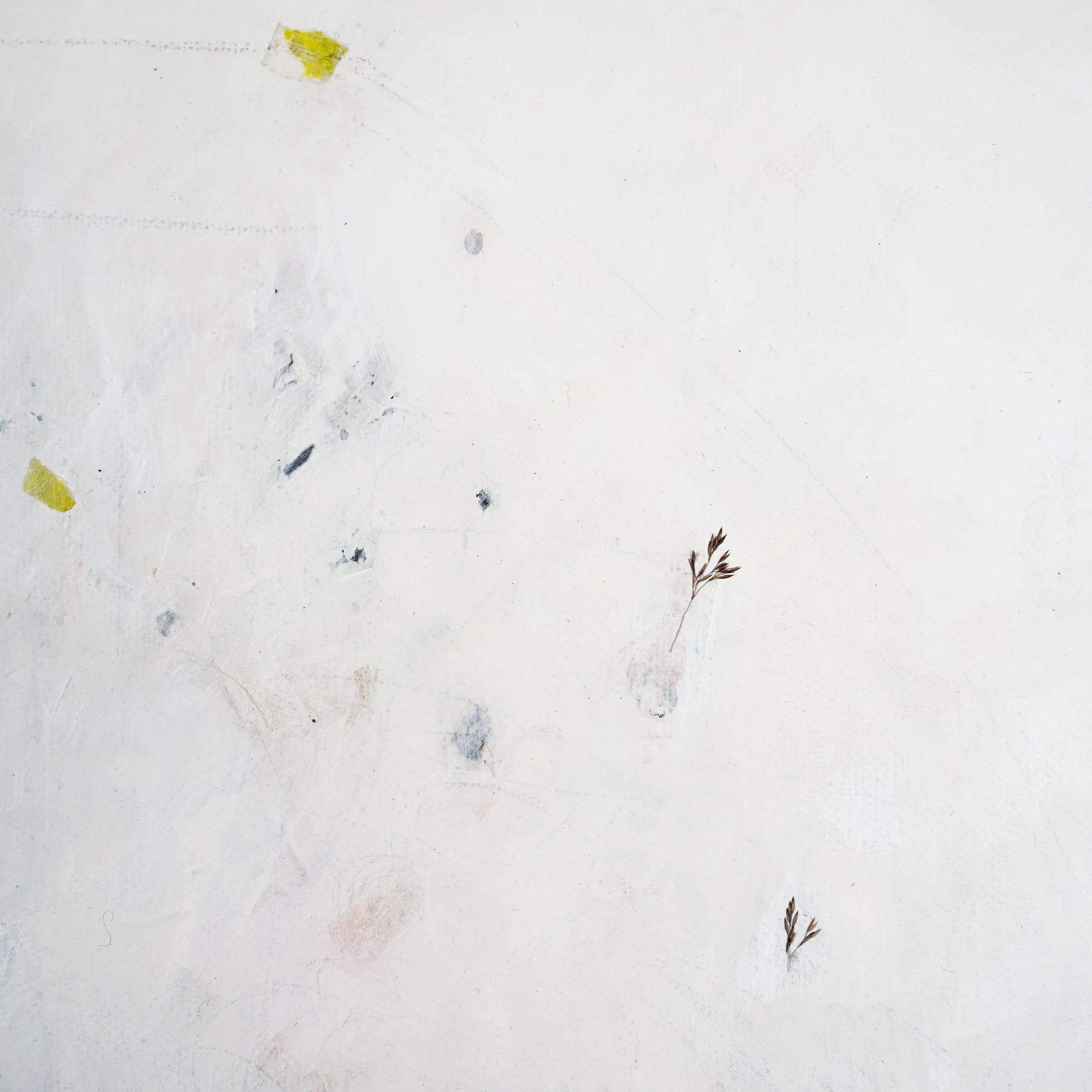 Abstract artwork by Nic Fife