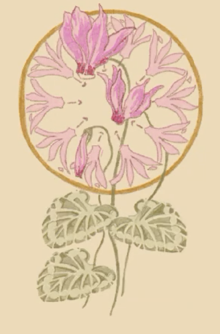 Sam &amp; Youri wedding registry