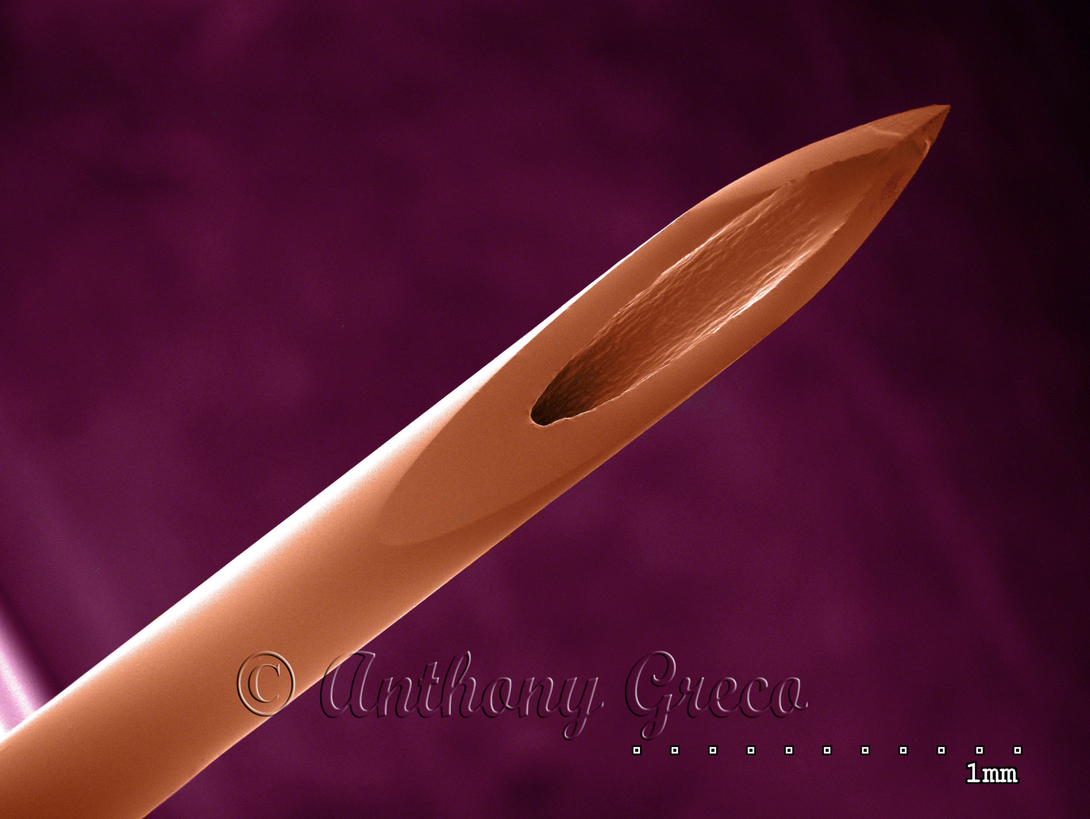 Tip of a hypodermic needle