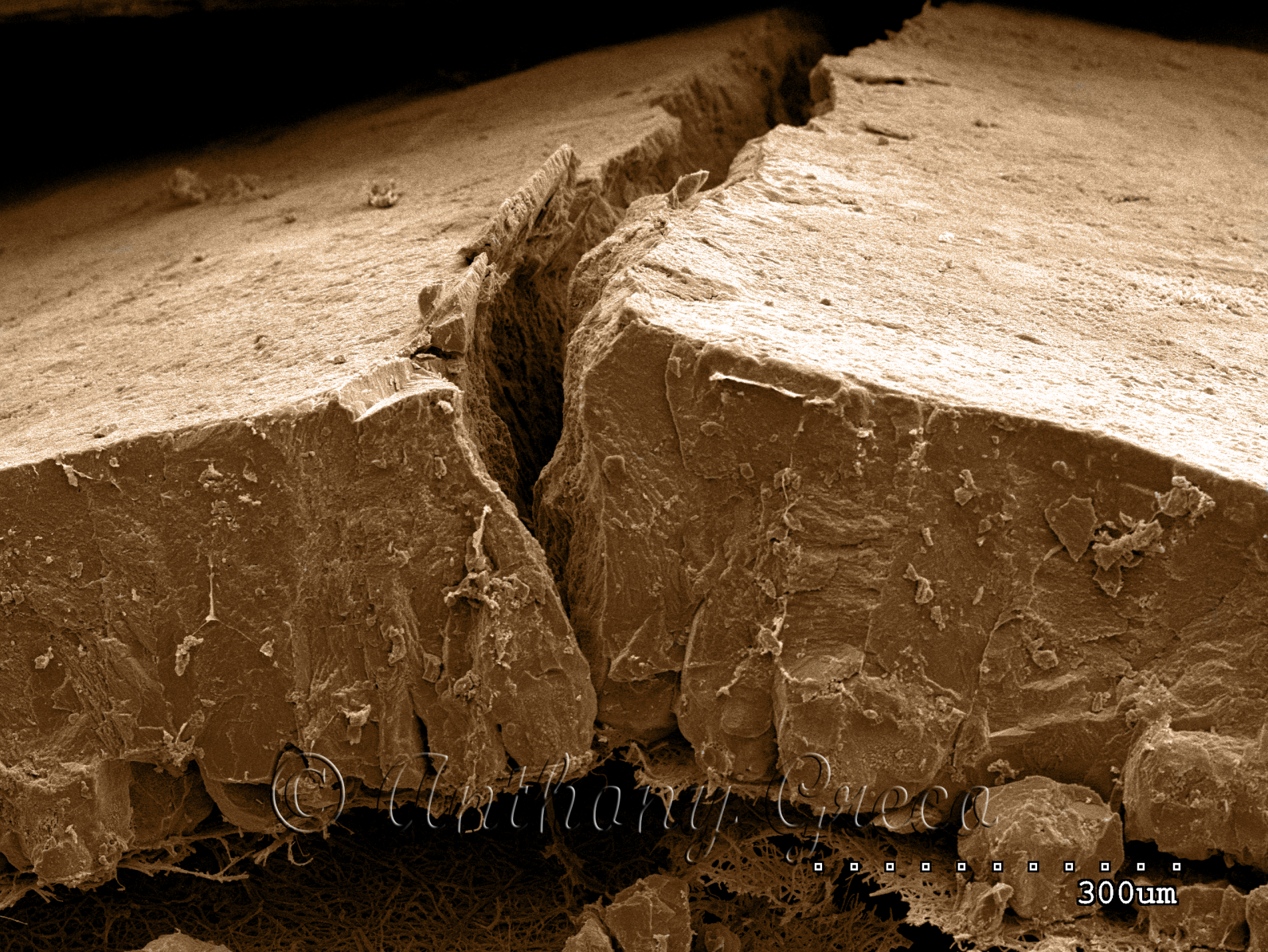 crack in an eggshell