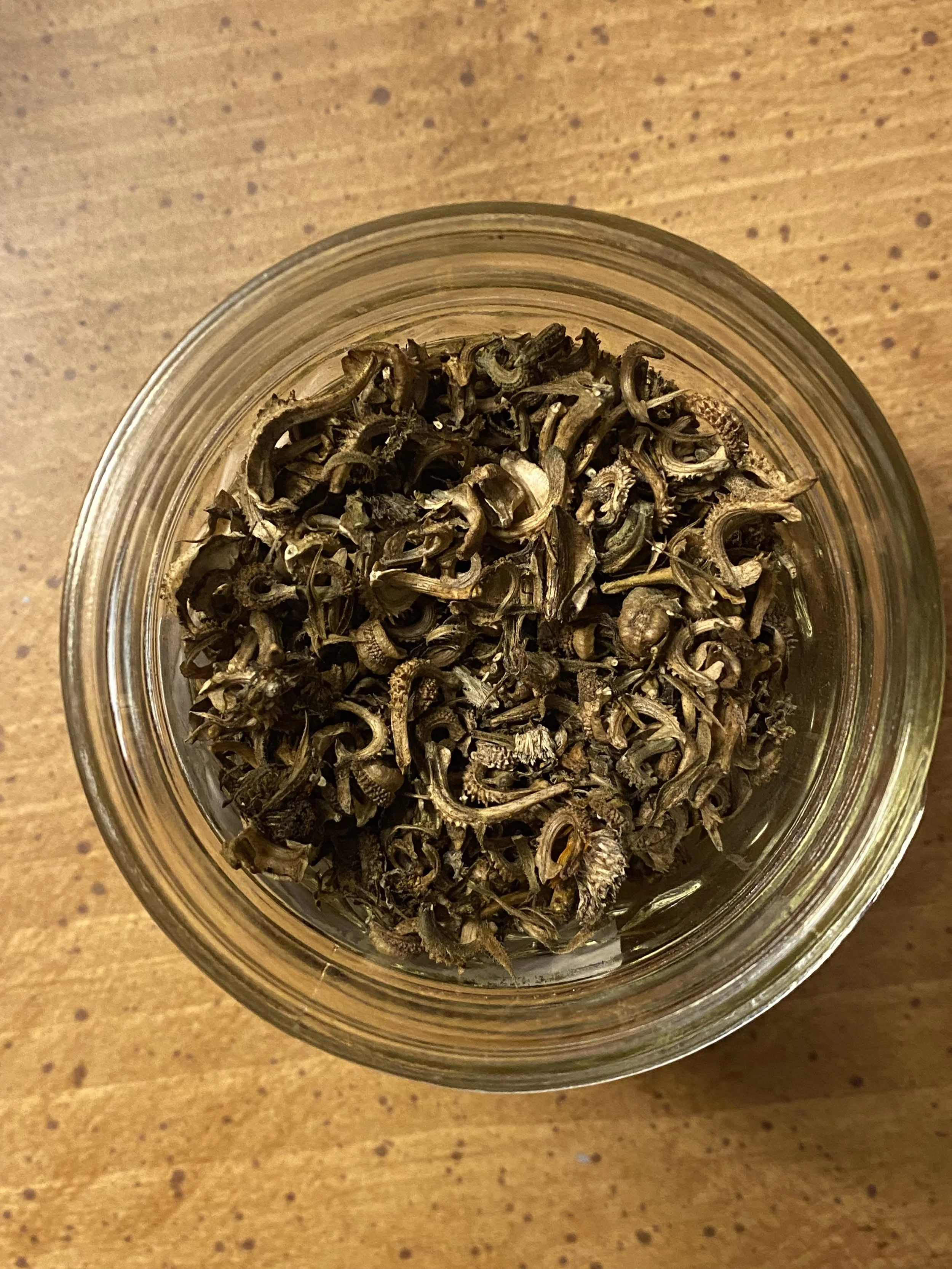 calendula seed saving