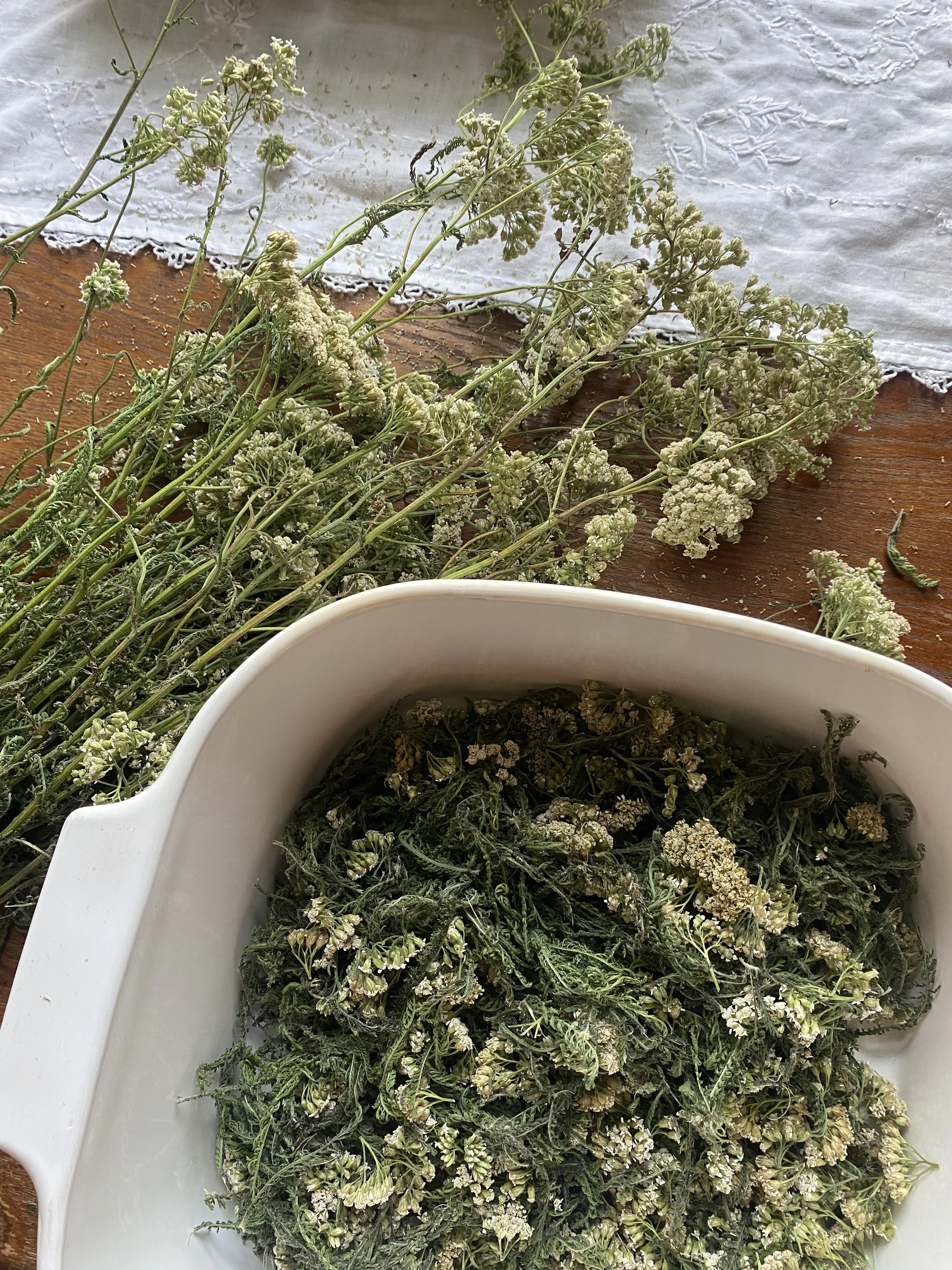 yarrow processing