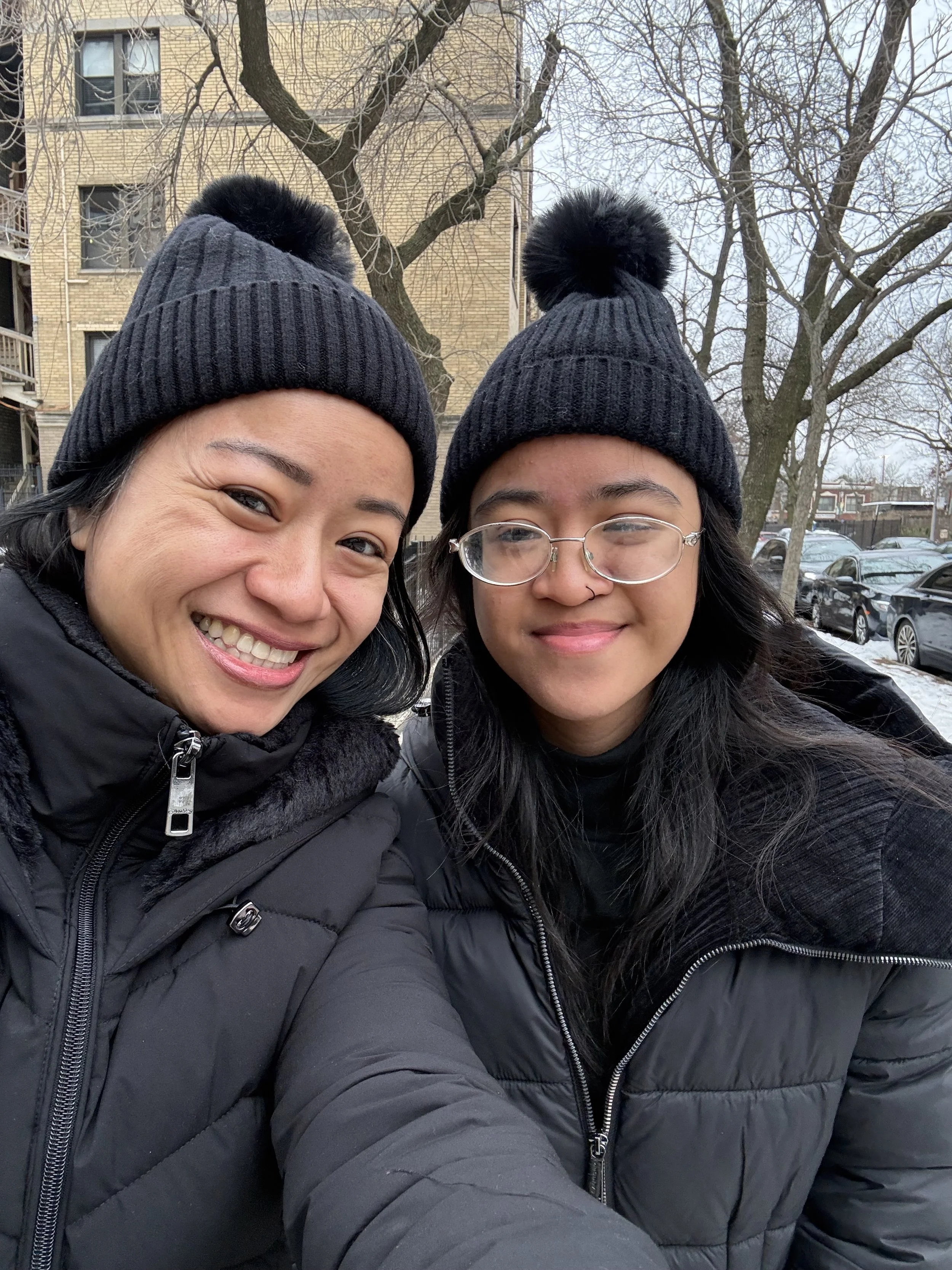 Chicago Like a Local