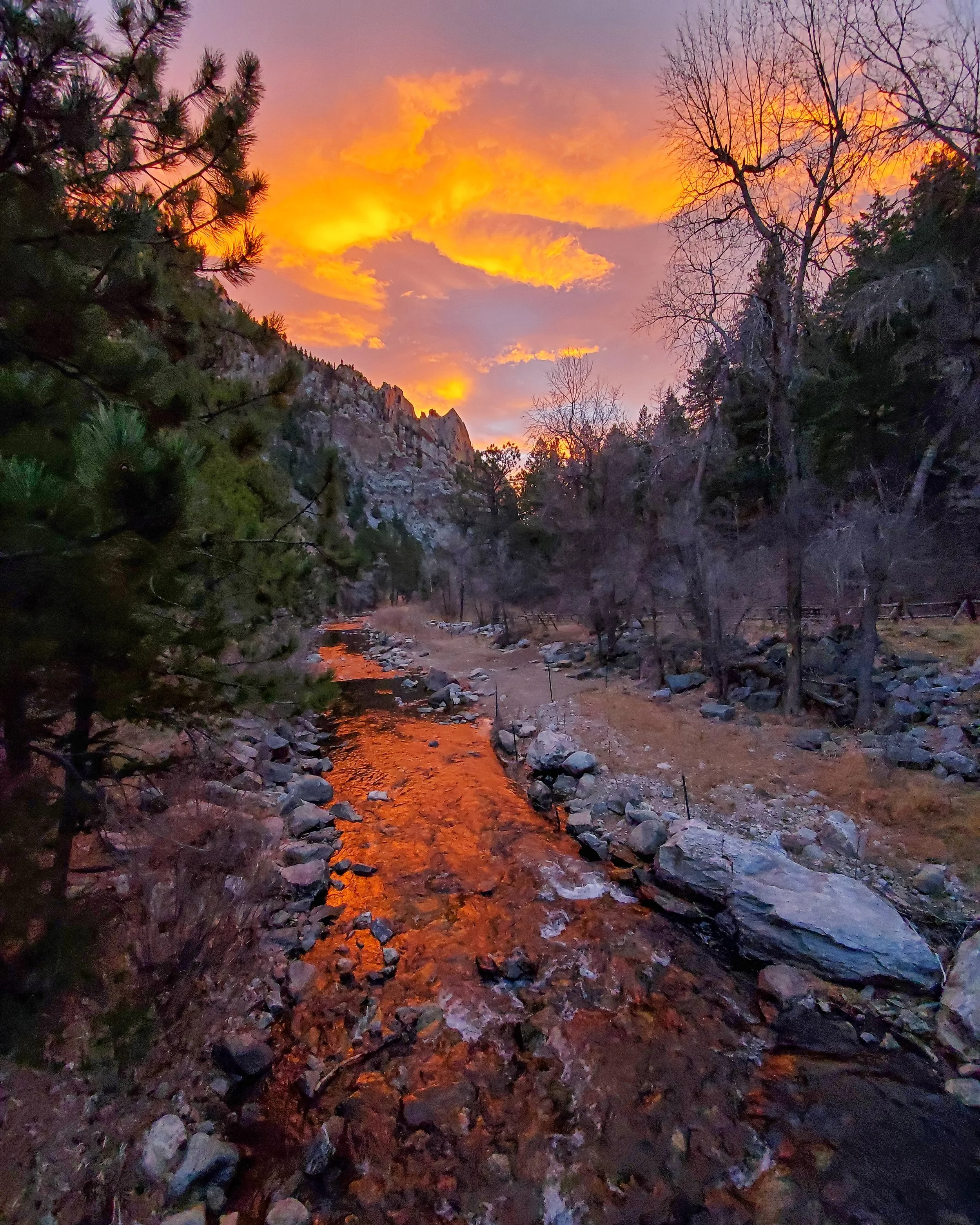 Sunrise over South Boulder Creek in Eldorado Canyon State Park with trees and a colorful sky.