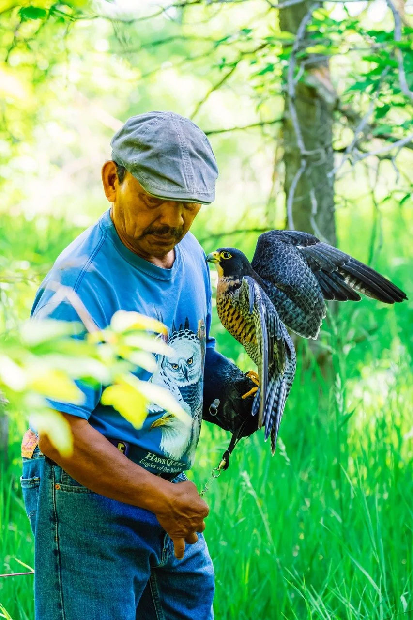 A man wearing a gray cap and a blue shirt with an owl design, standing in a green, wooded area, holding a falcon on his gloved hand.