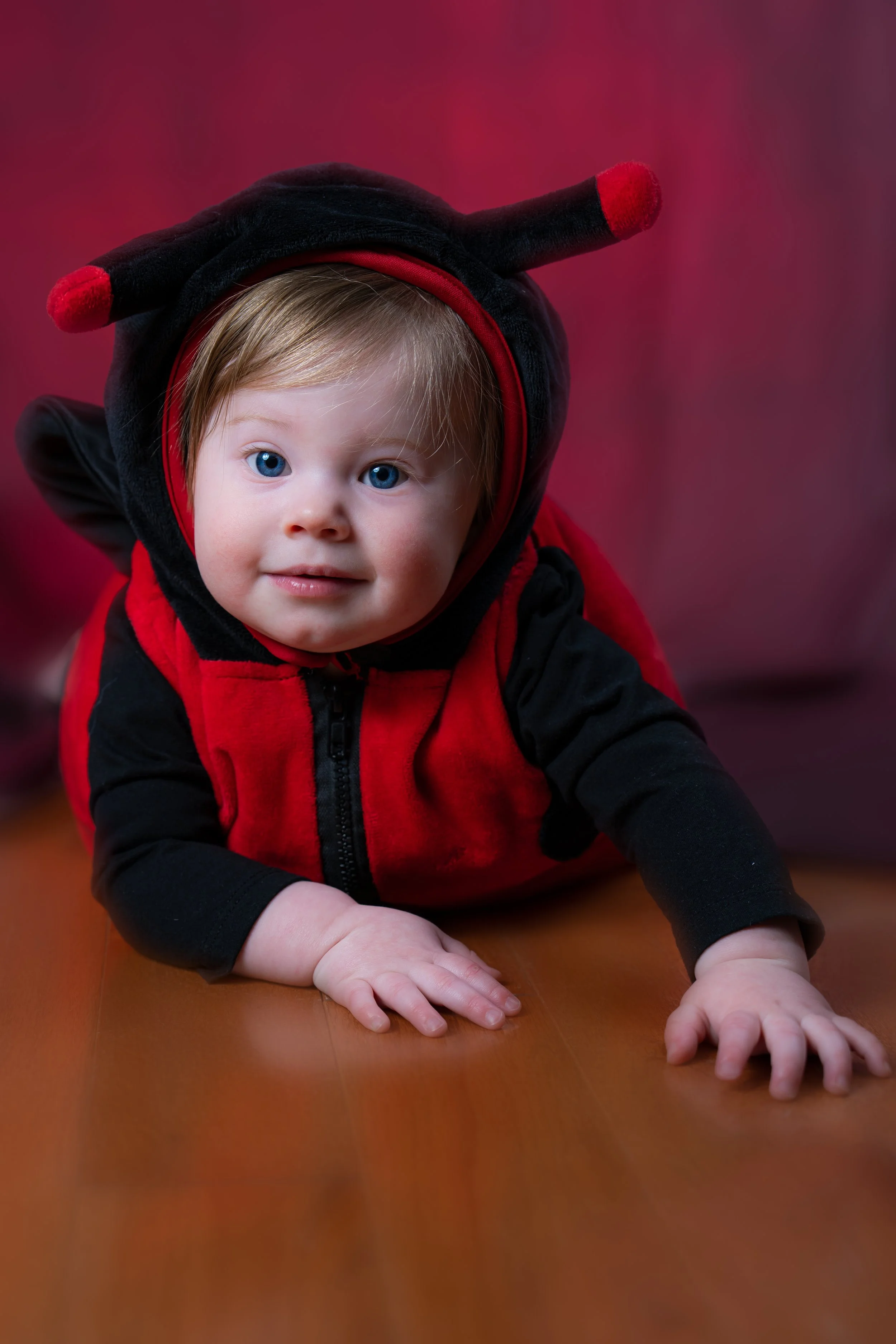 A baby dressed in a ladybug costume crawling on a wooden floor with a blurred red background.