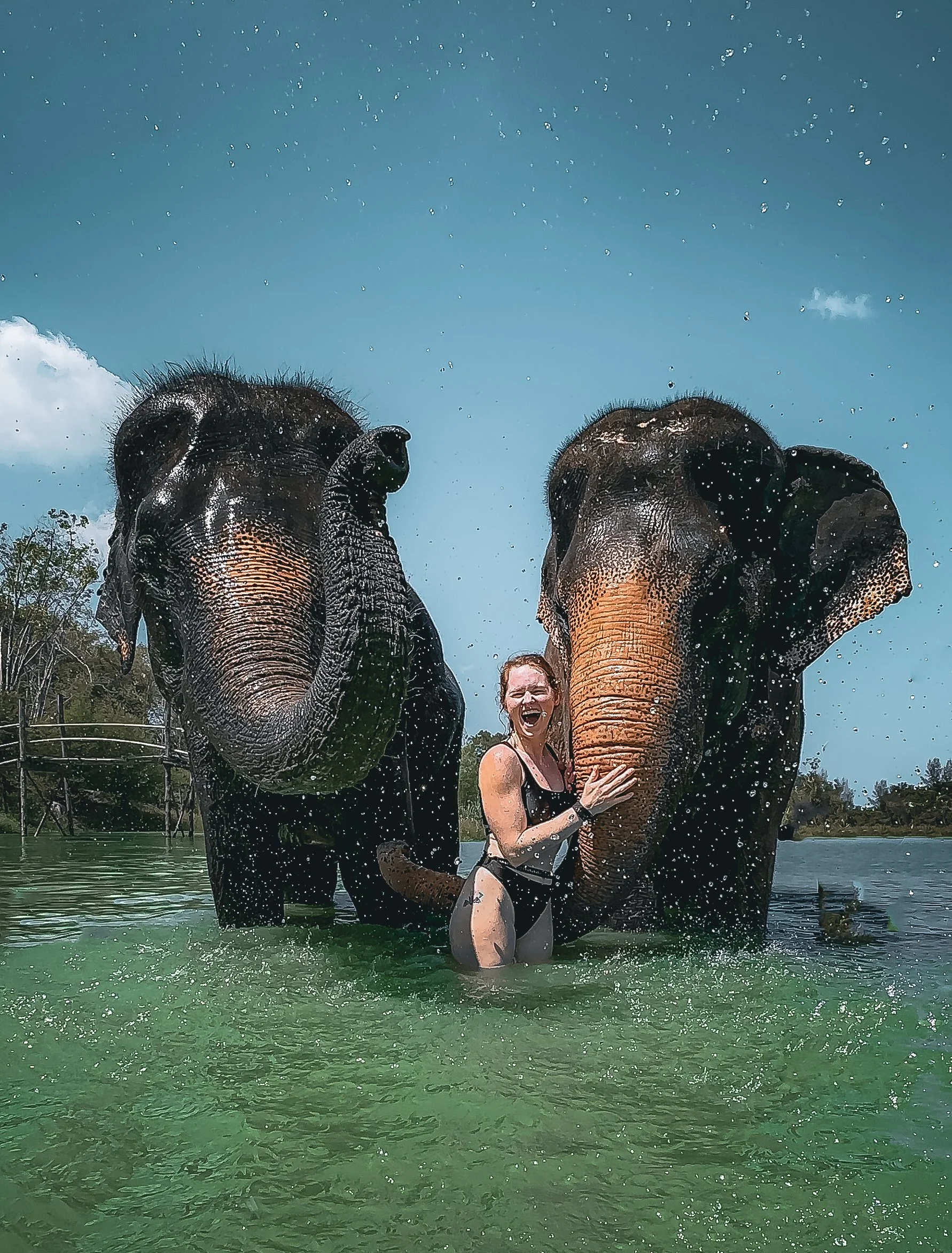 A woman and two elephants standing in water on a sunny day, splashing water.
