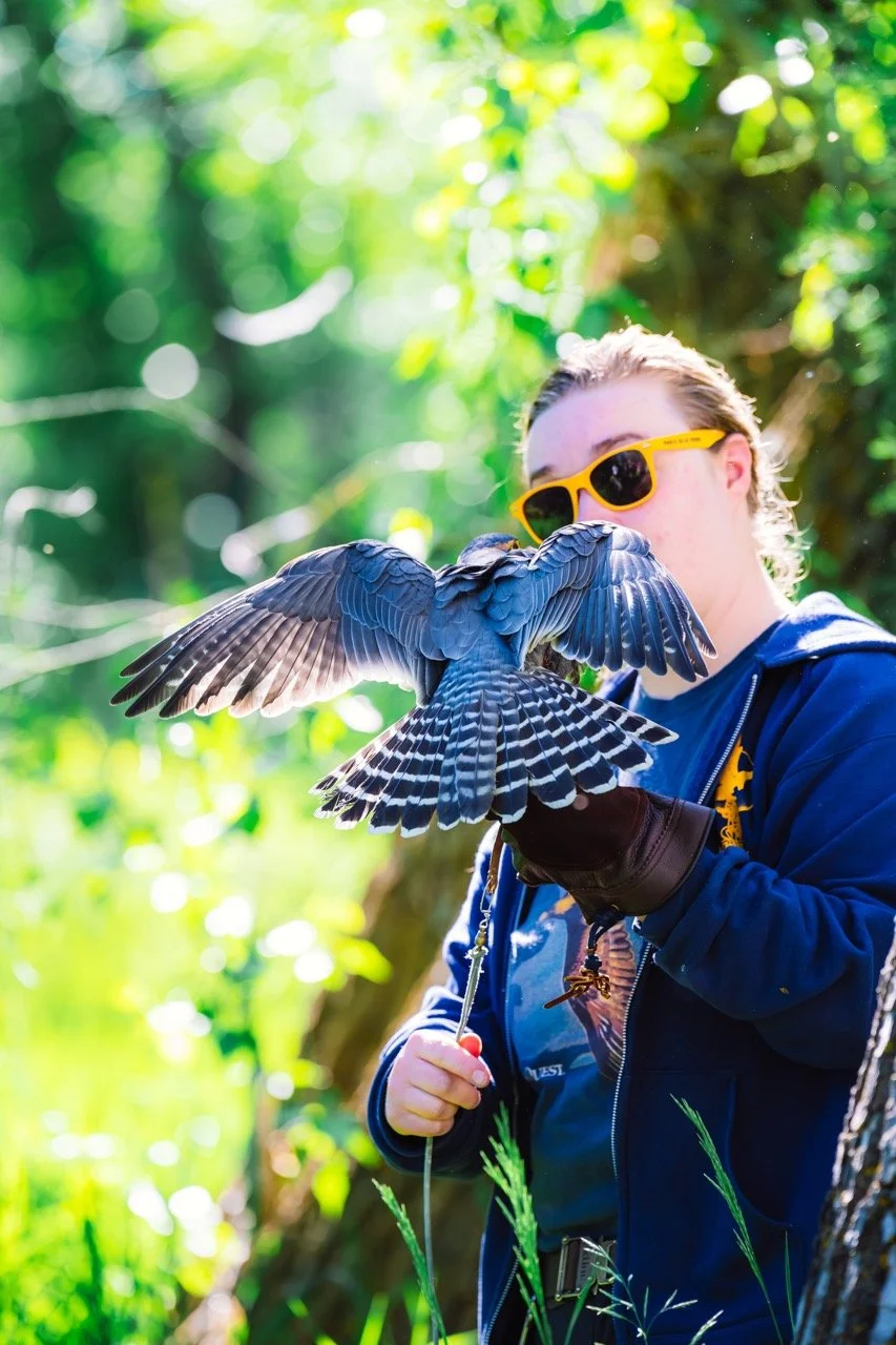 A person wearing yellow sunglasses and a blue jacket holding a bird with spade-shaped wings, red eyes, and blue and white feathers in a green, forested area.